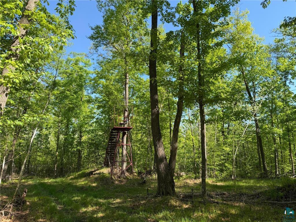 54003 Dollar Lake Rd Sandstone MN 55072 6125832 image22