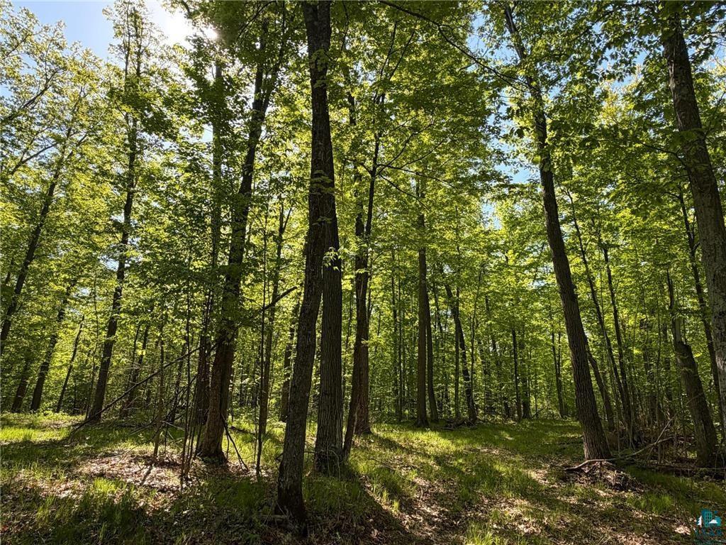 54003 Dollar Lake Rd Sandstone MN 55072 6125832 image23