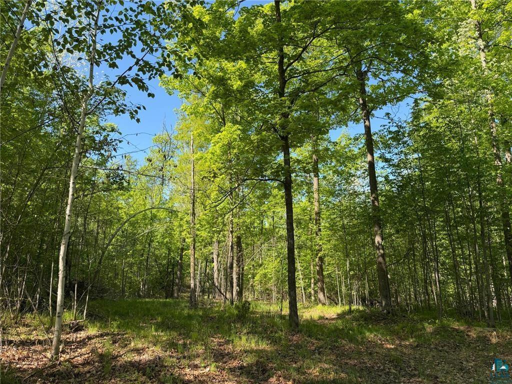 54003 Dollar Lake Rd Sandstone MN 55072 6125832 image25