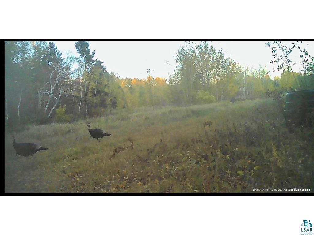 54003 Dollar Lake Rd Sandstone MN 55072 6125832 image27