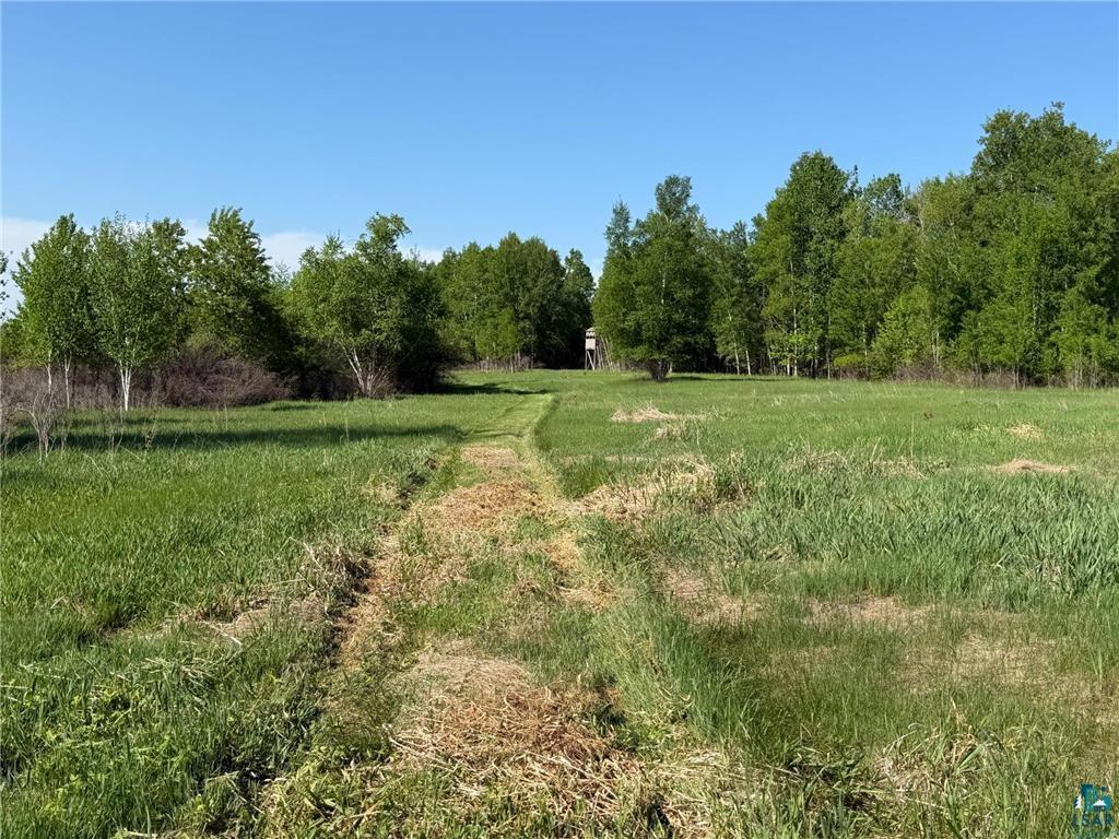54003 Dollar Lake Rd Sandstone MN 55072 6125832 image9