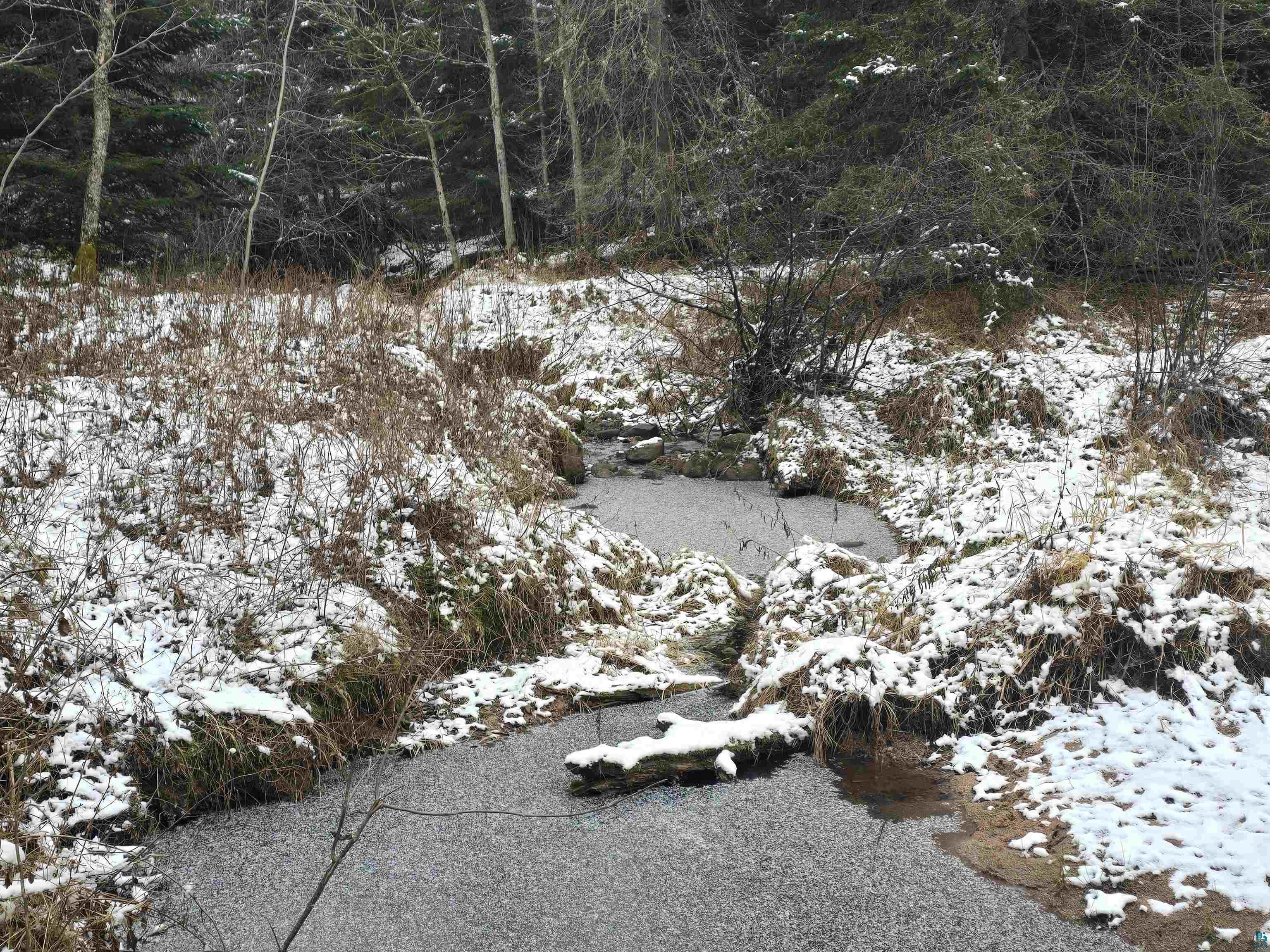 5415 Old 13 Rd Port Wing WI 54865 6117154 image1