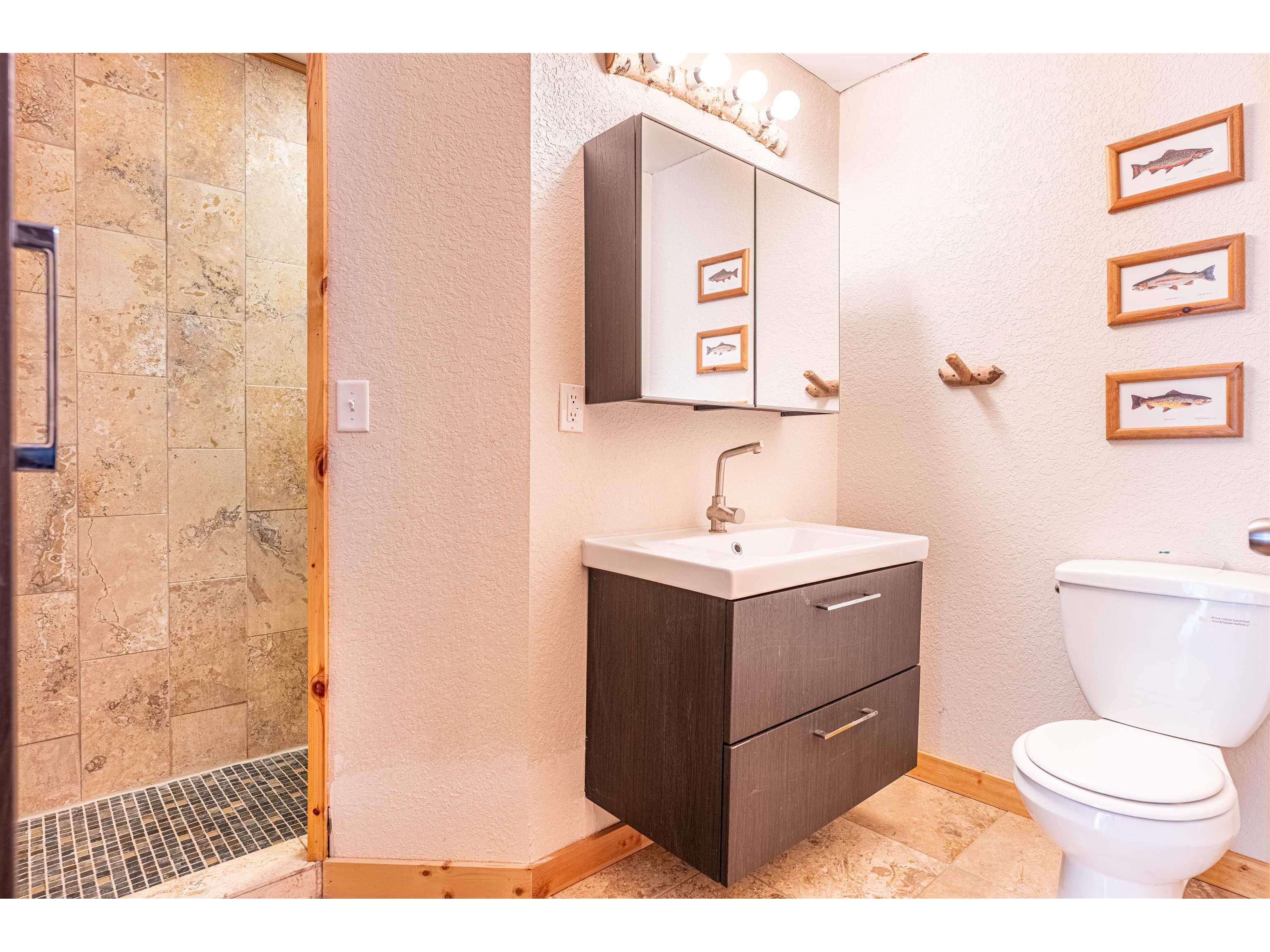 54755 Silverwolf Dr Barnes WI 54873 6121990 image14