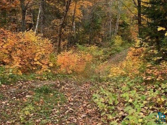 5503 Hwy 61 E Hovland MN 55606 6125168 image40