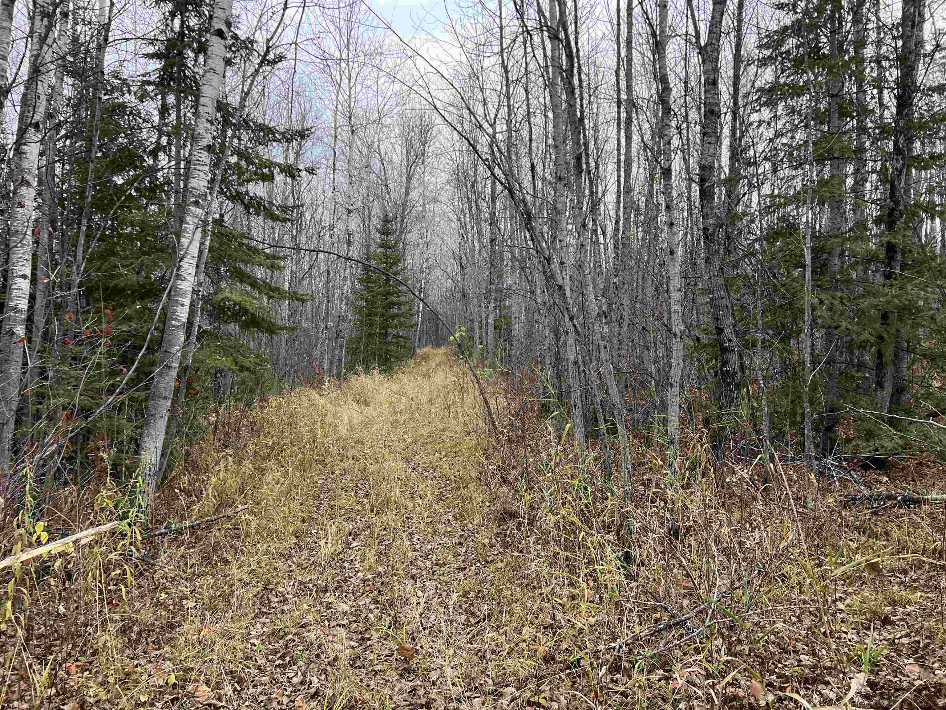 55260 Hwy 63 Grand View WI 54839 6122767 image36