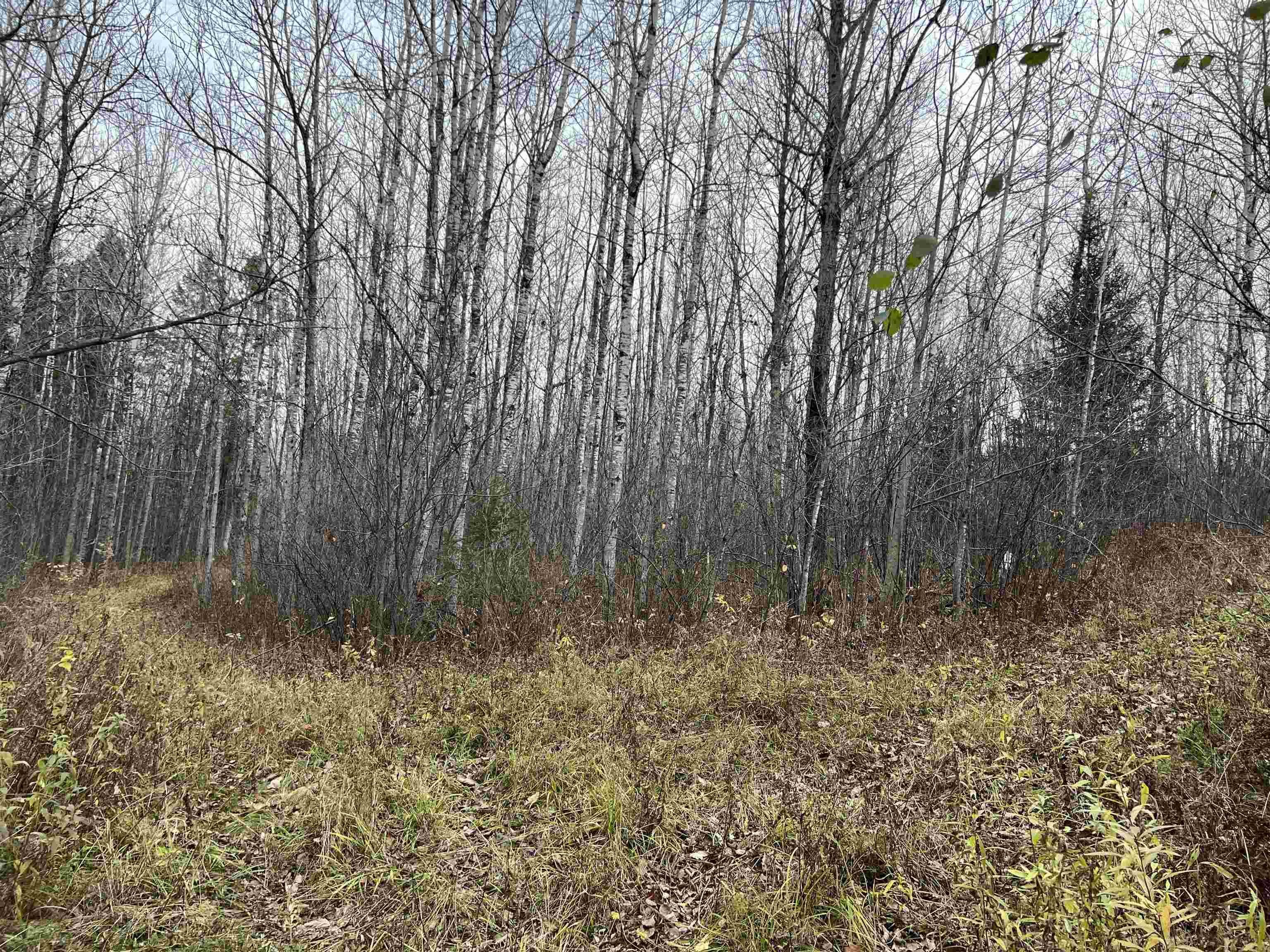 55260 Hwy 63 Grand View WI 54839 6122767 image37