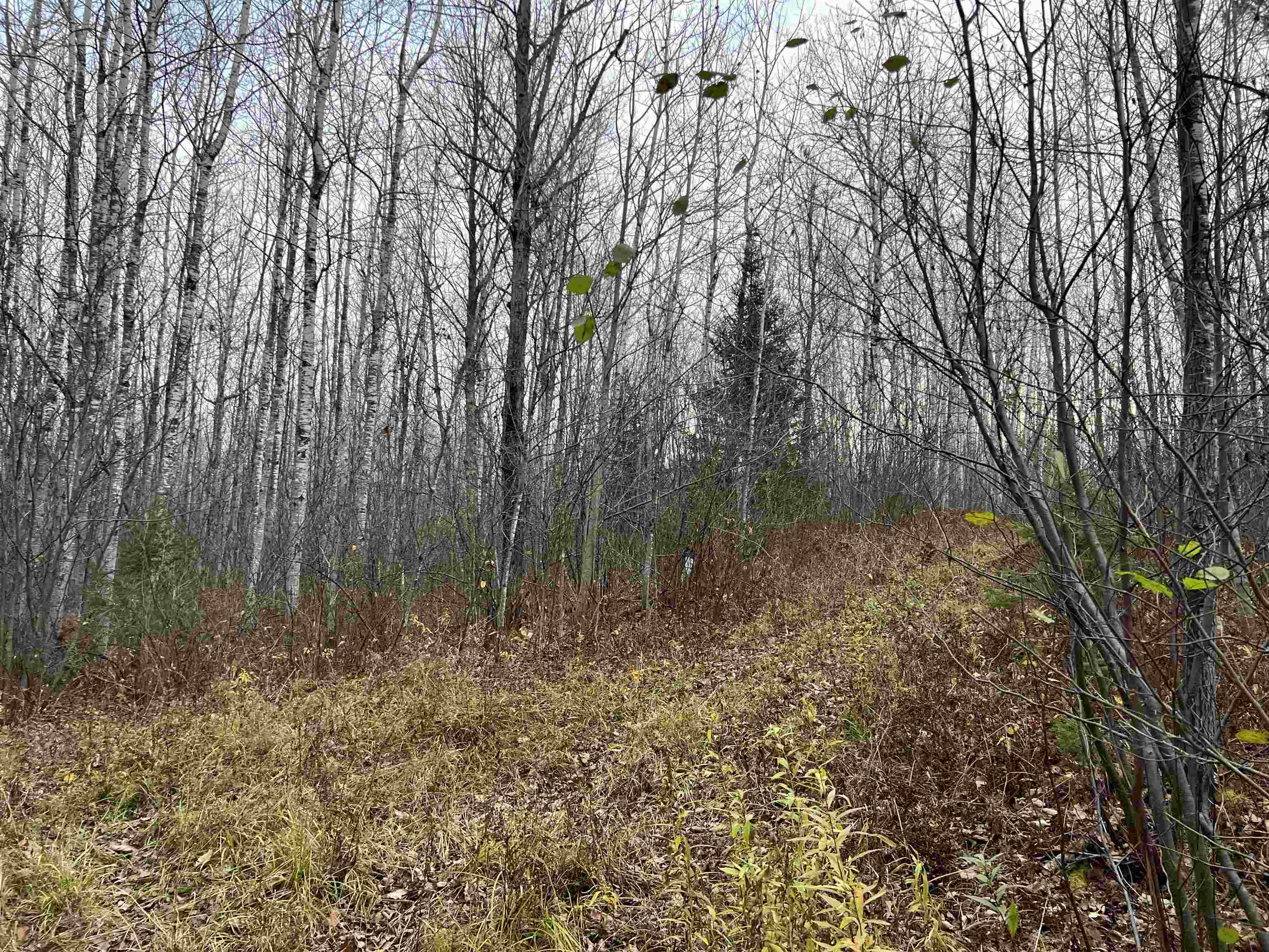 55260 Hwy 63 Grand View WI 54839 6122767 image38