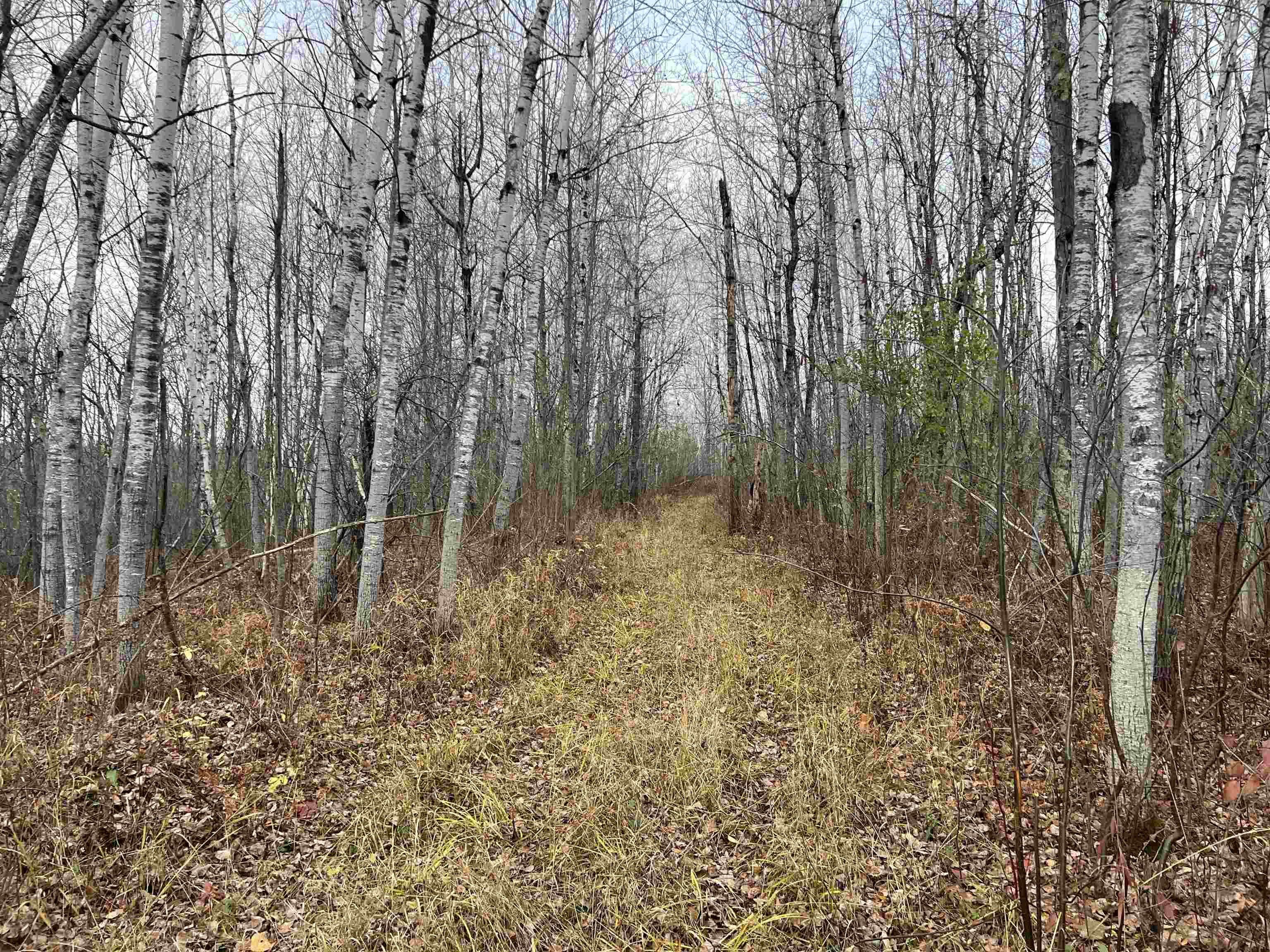 55260 Hwy 63 Grand View WI 54839 6122767 image39