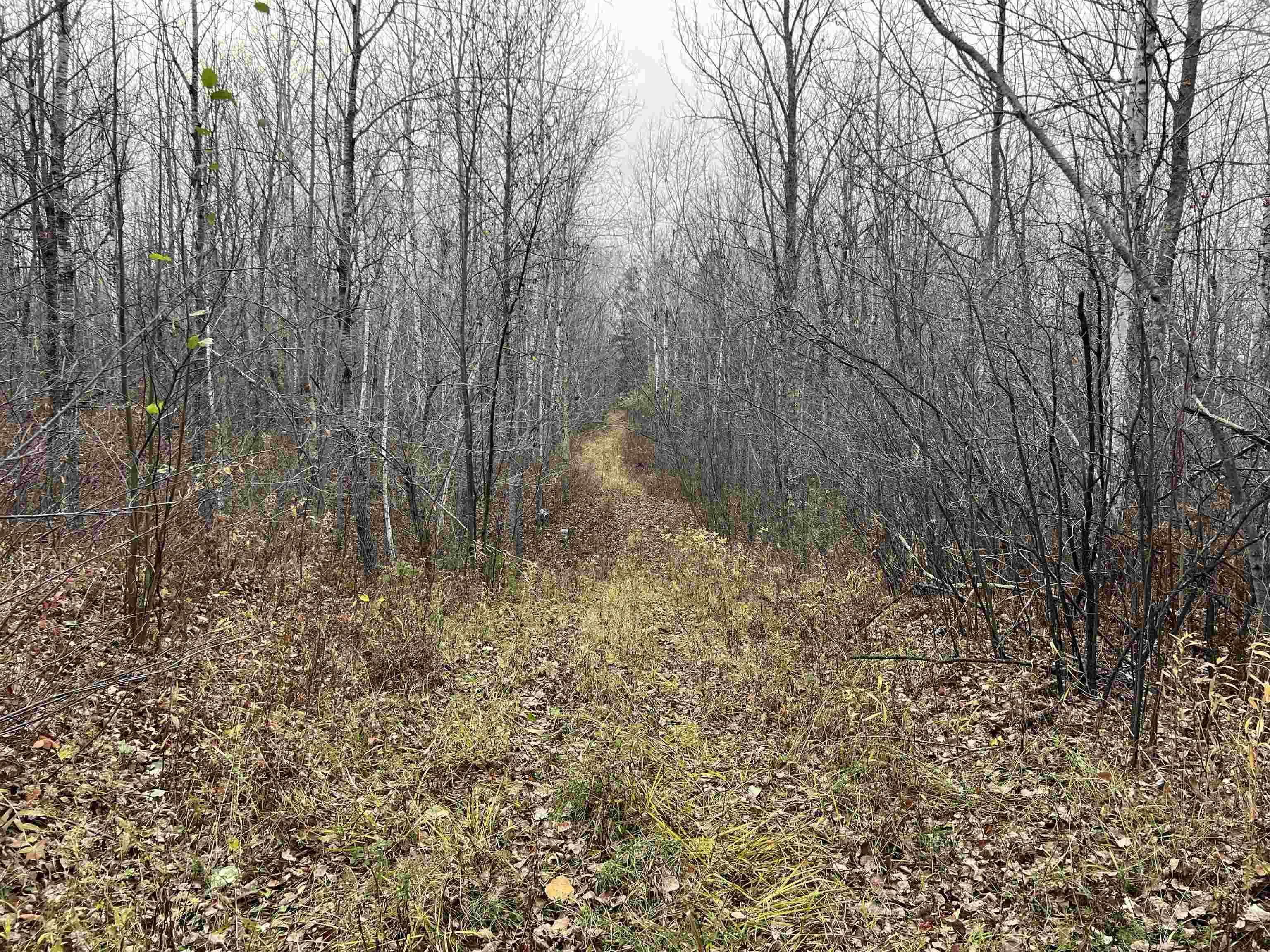 55260 Hwy 63 Grand View WI 54839 6122767 image40