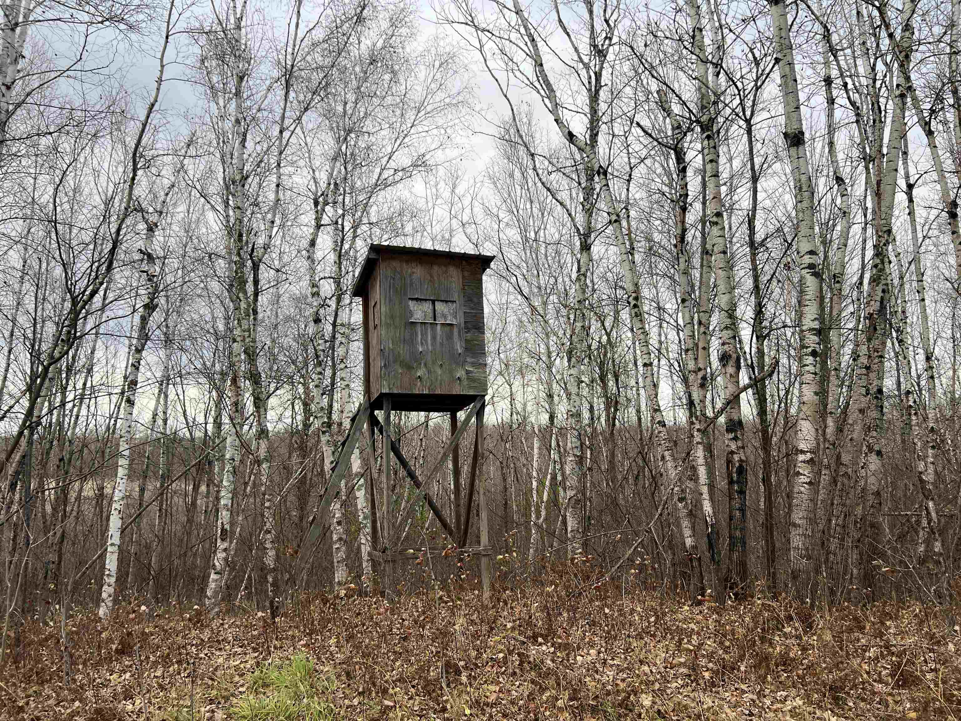 55260 Hwy 63 Grand View WI 54839 6122767 image41