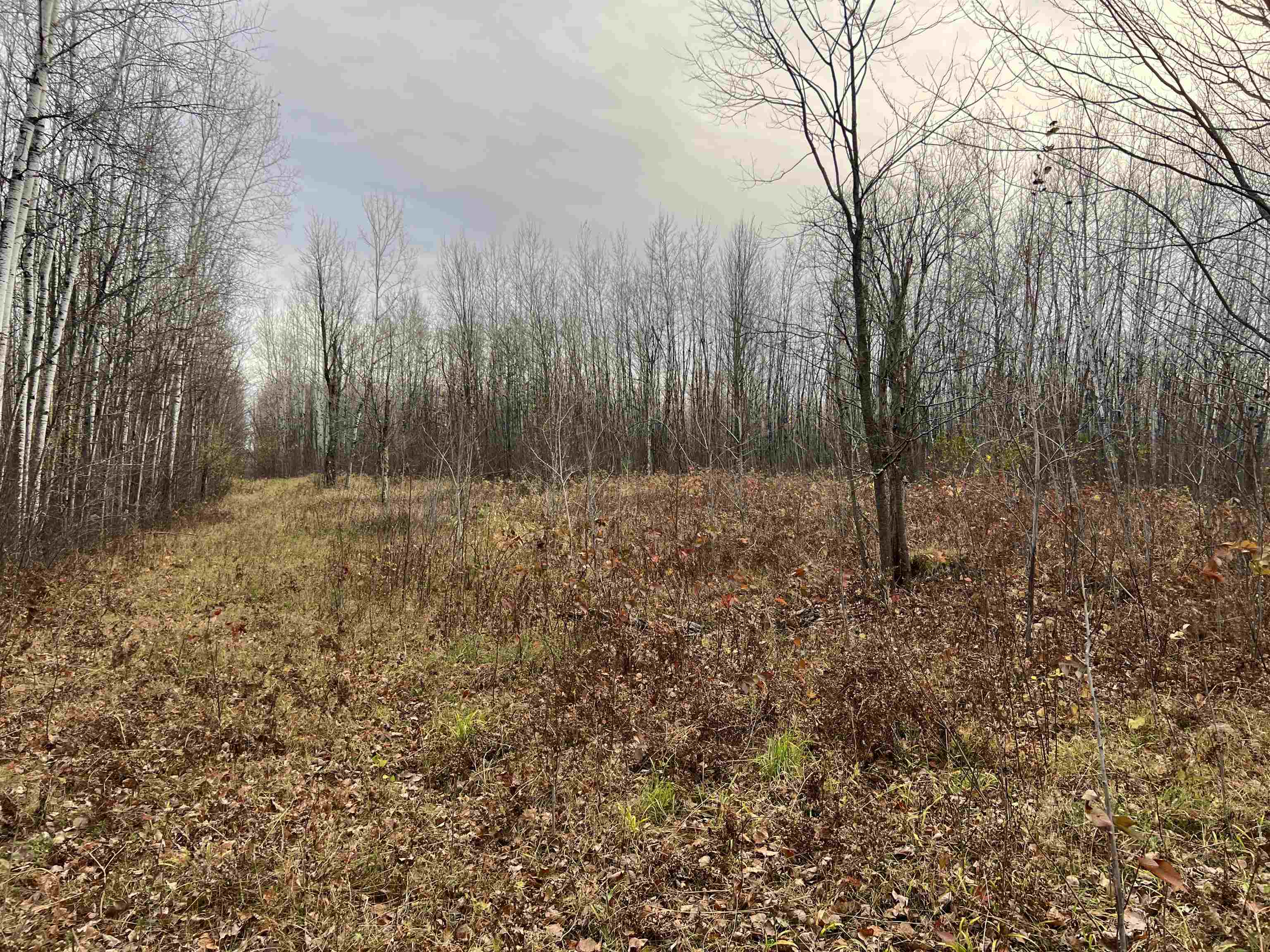 55260 Hwy 63 Grand View WI 54839 6122767 image42