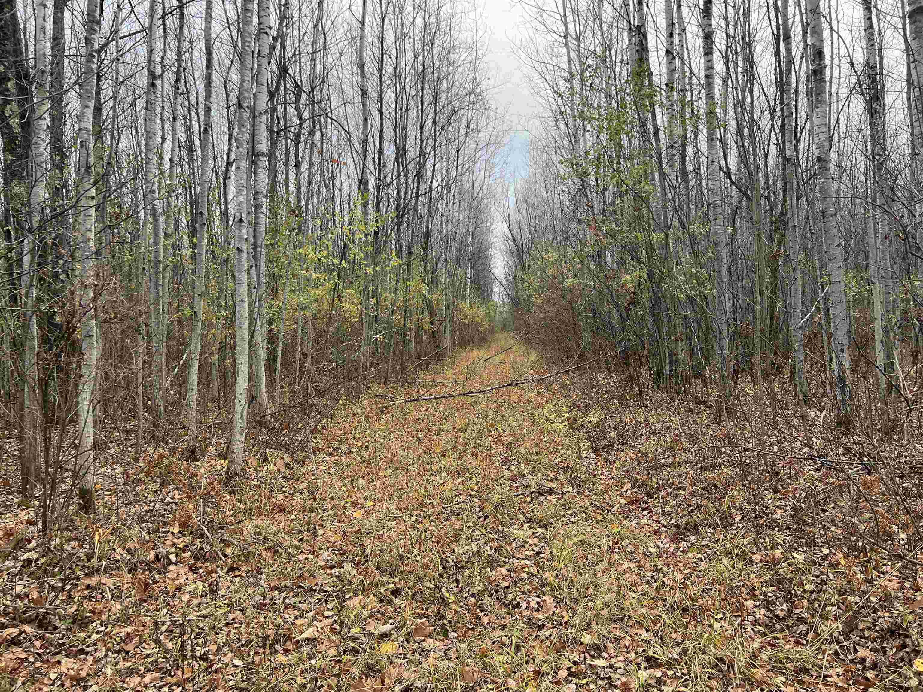 55260 Hwy 63 Grand View WI 54839 6122767 image44