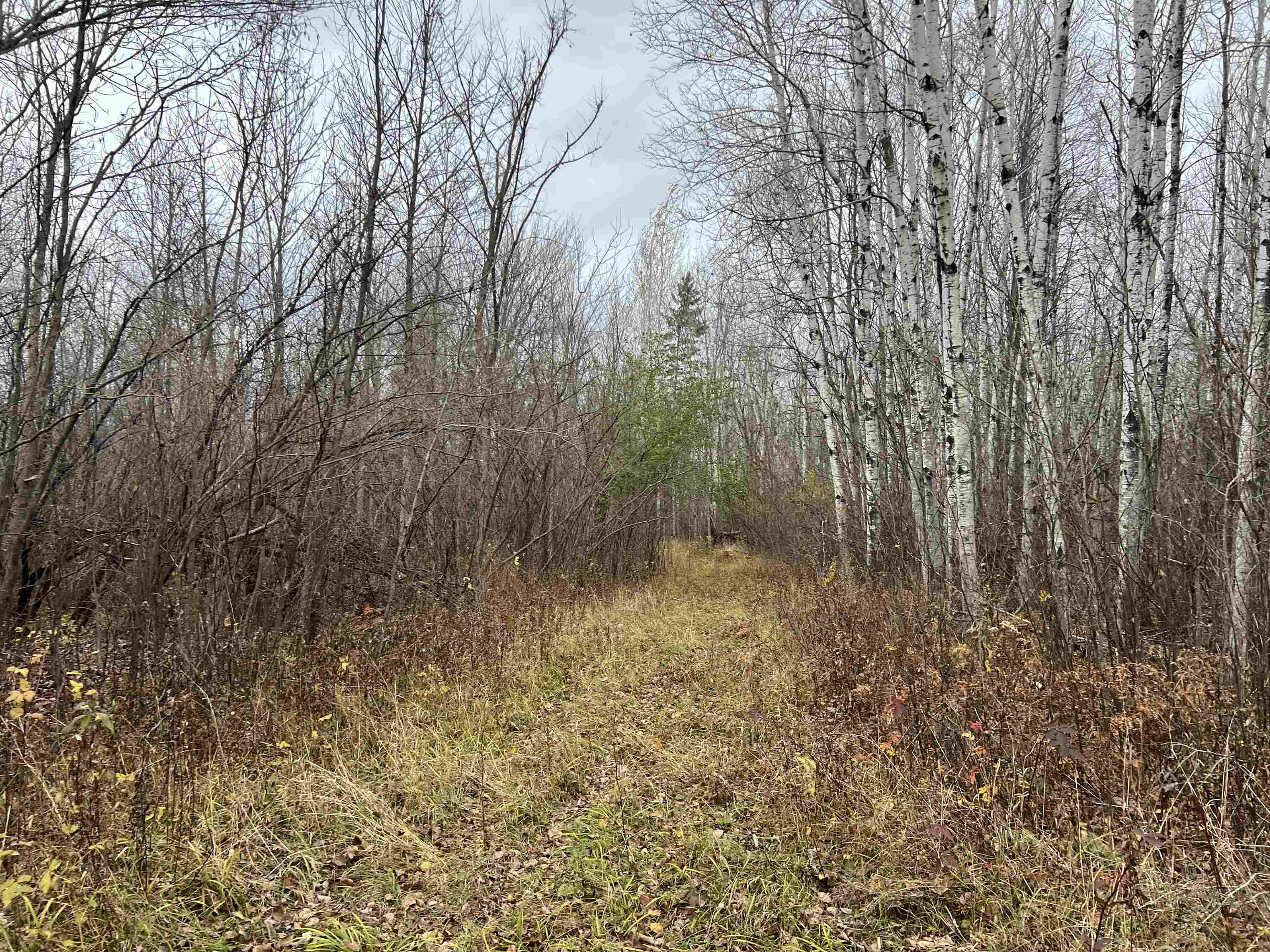 55260 Hwy 63 Grand View WI 54839 6122767 image45