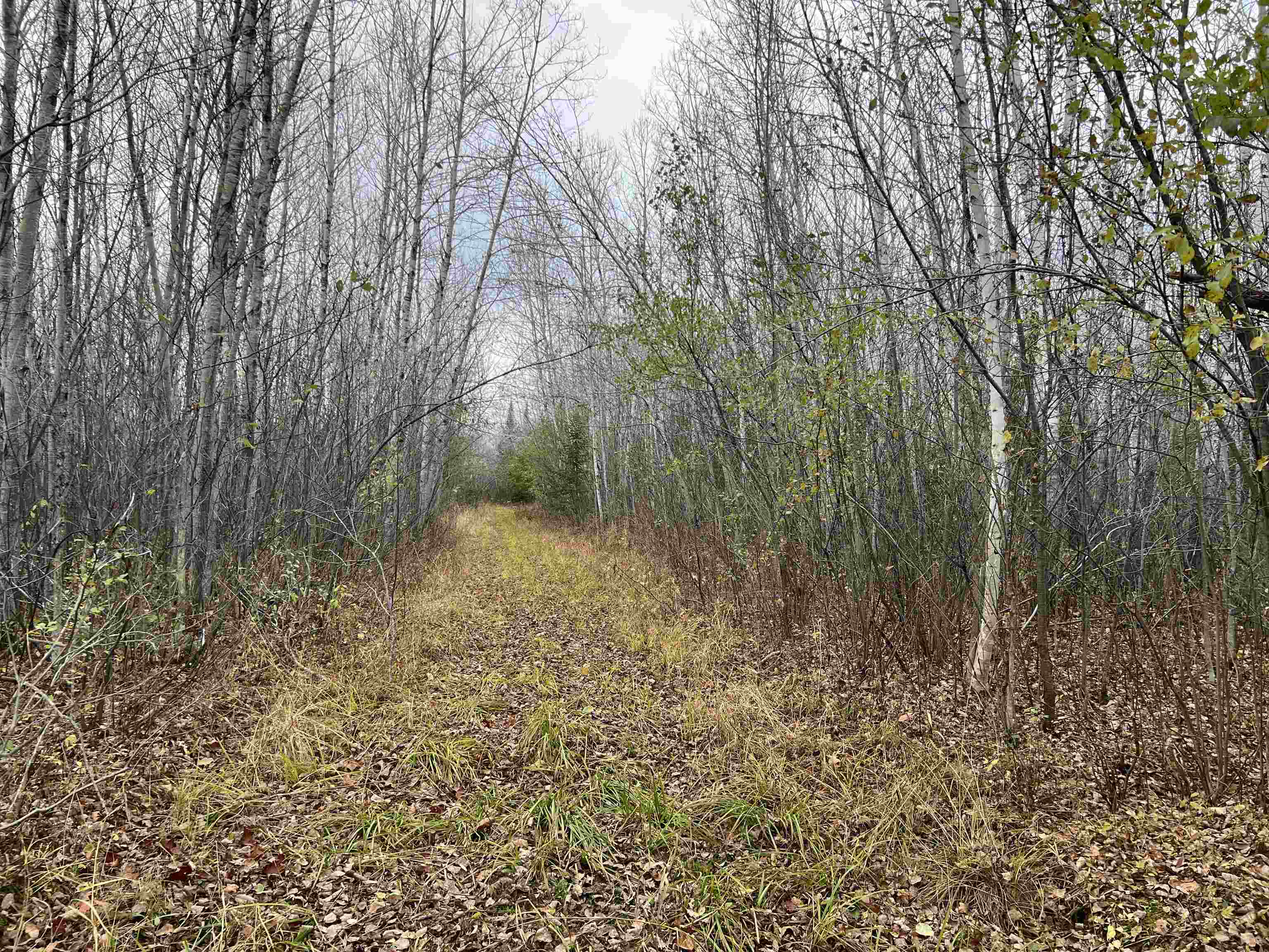 55260 Hwy 63 Grand View WI 54839 6122767 image46