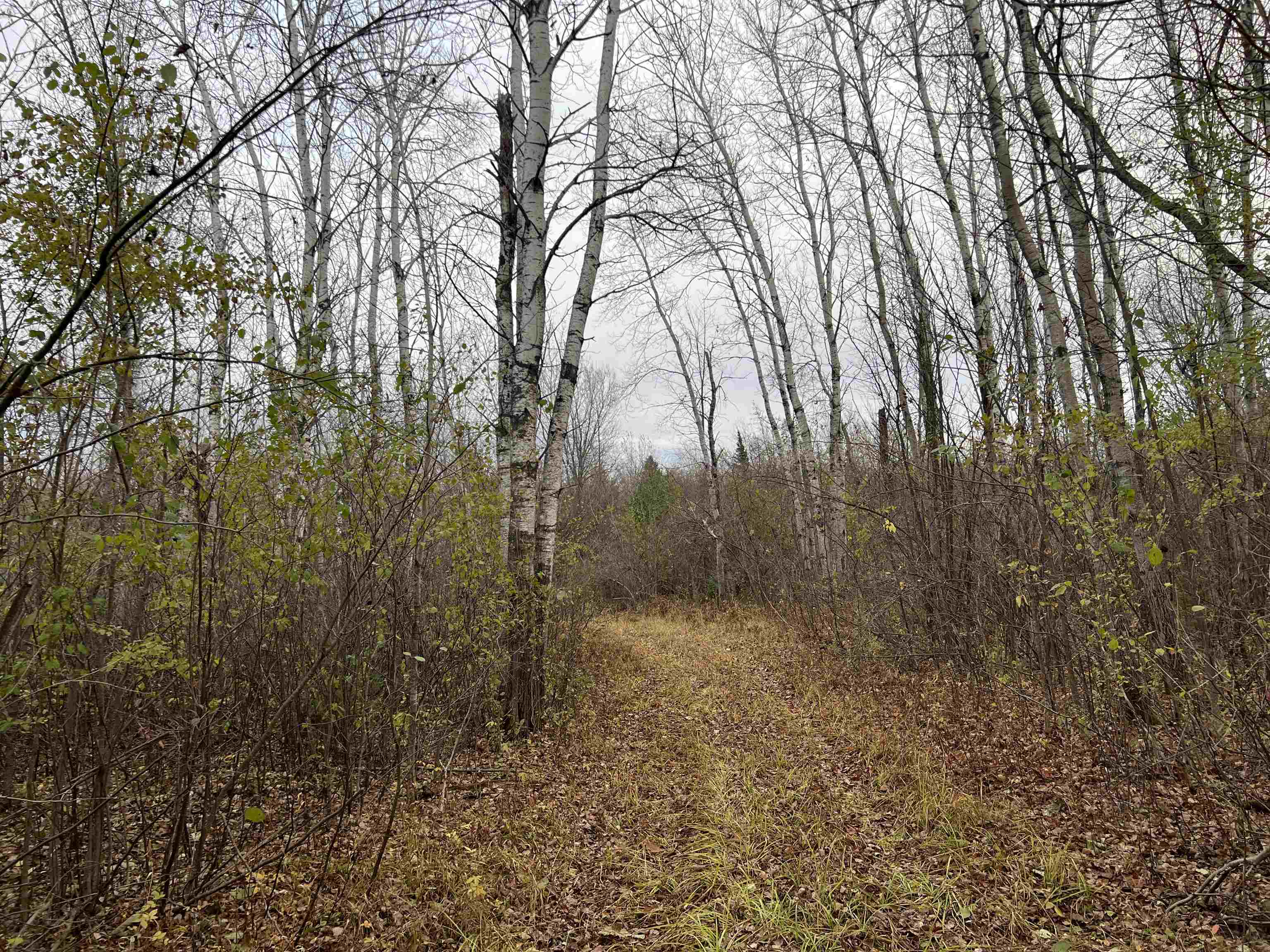 55260 Hwy 63 Grand View WI 54839 6122767 image47