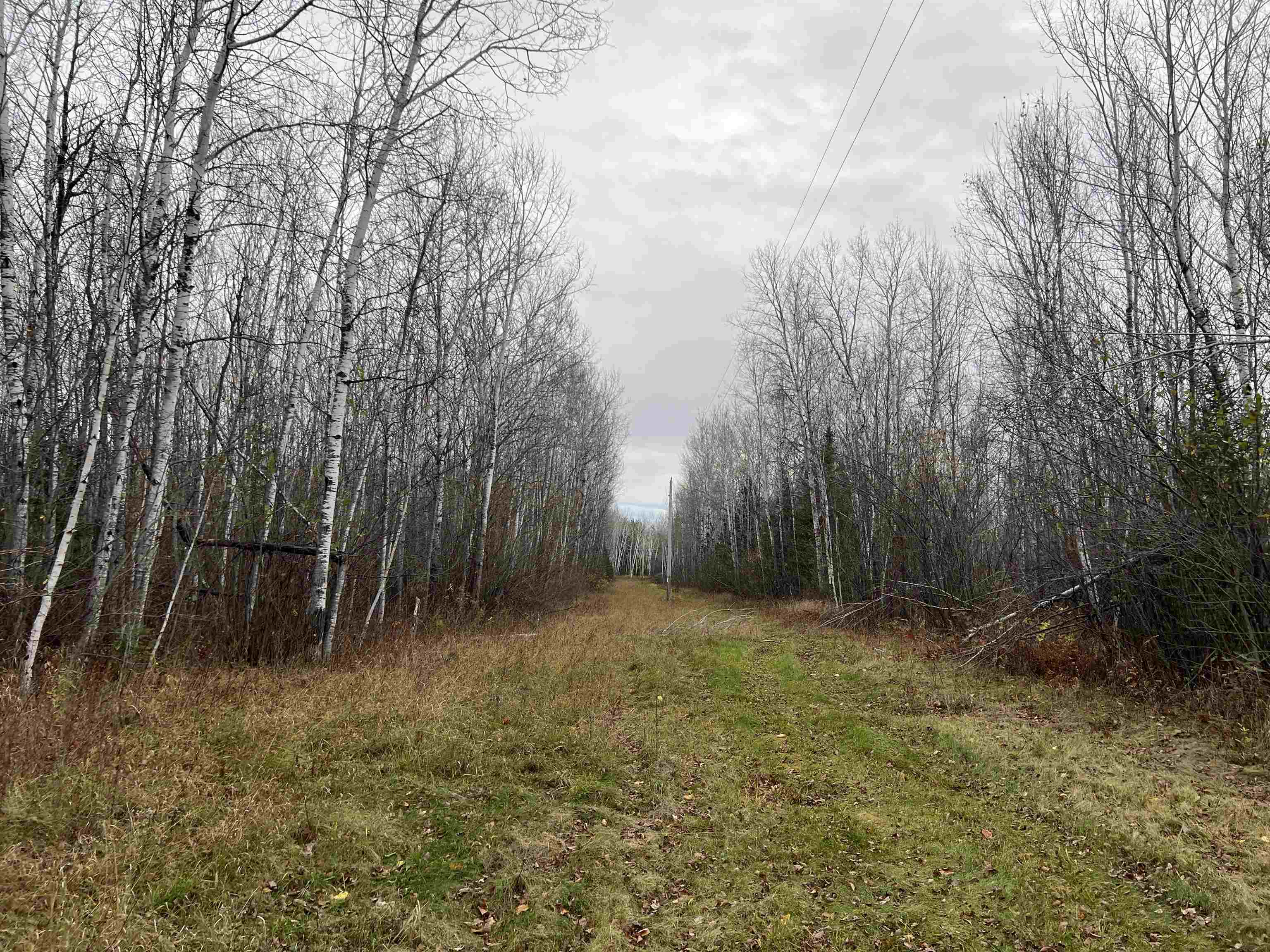 55260 Hwy 63 Grand View WI 54839 6122767 image48