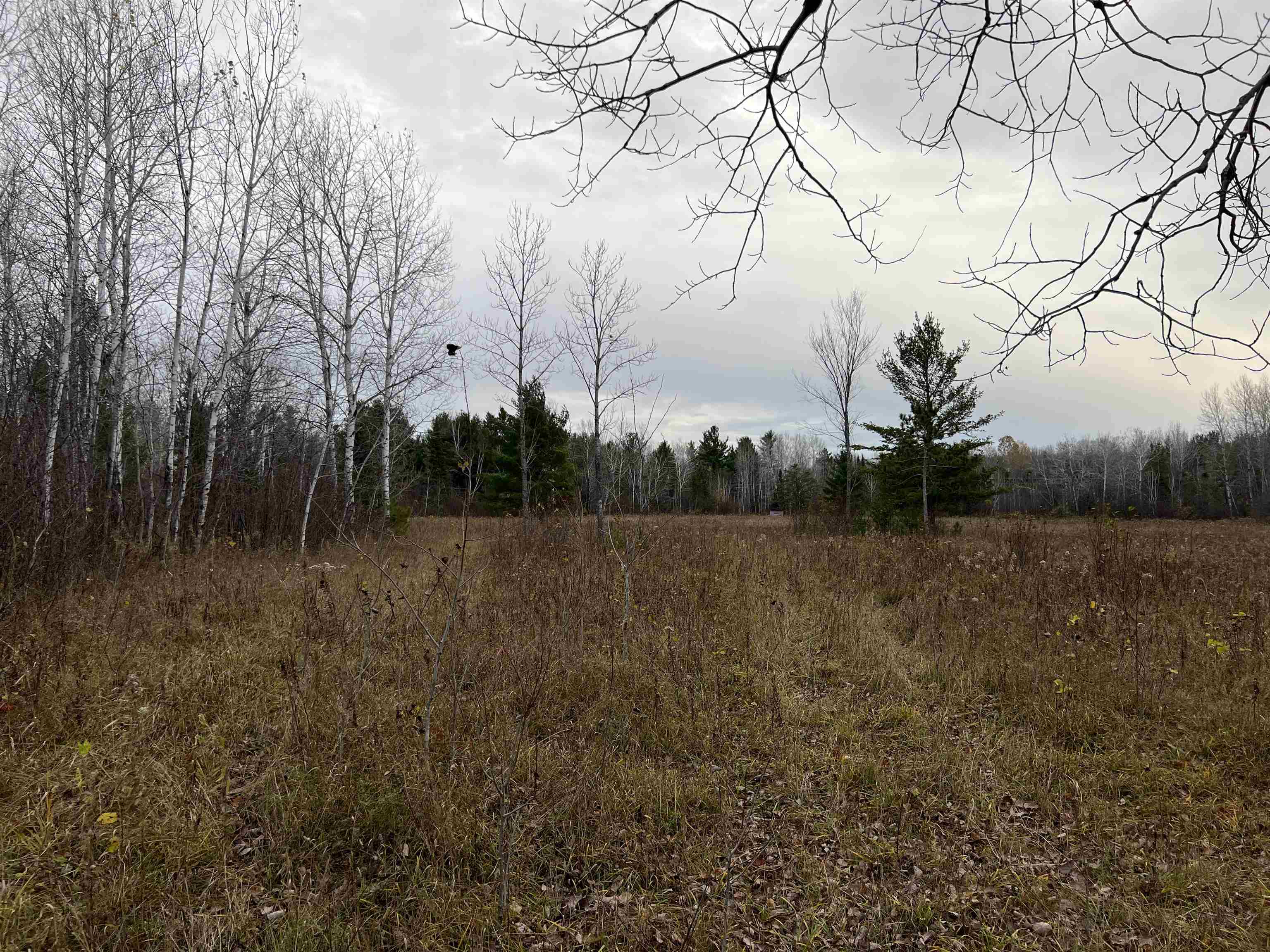 55260 Hwy 63 Grand View WI 54839 6122767 image49