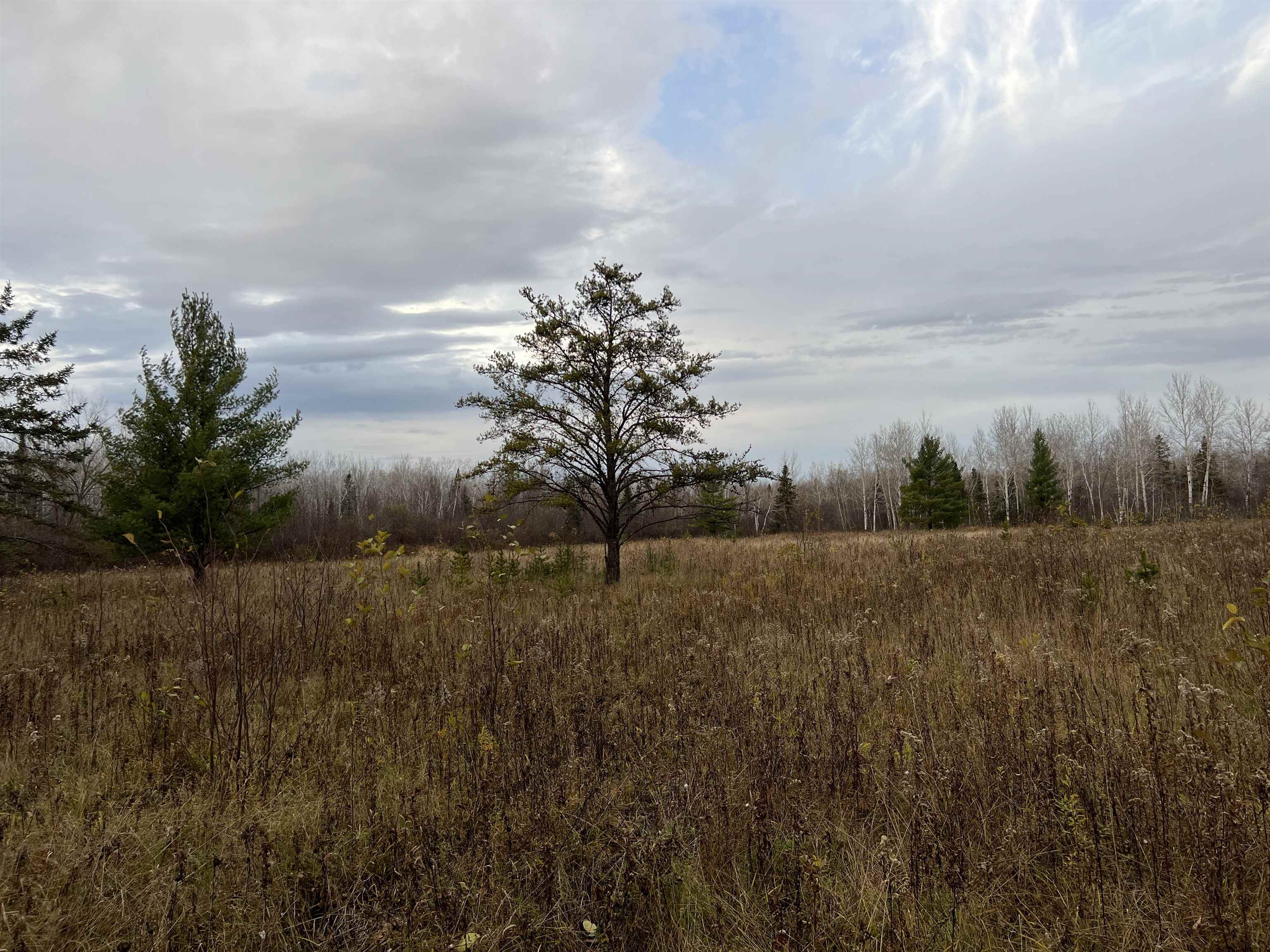 55260 Hwy 63 Grand View WI 54839 6122767 image53