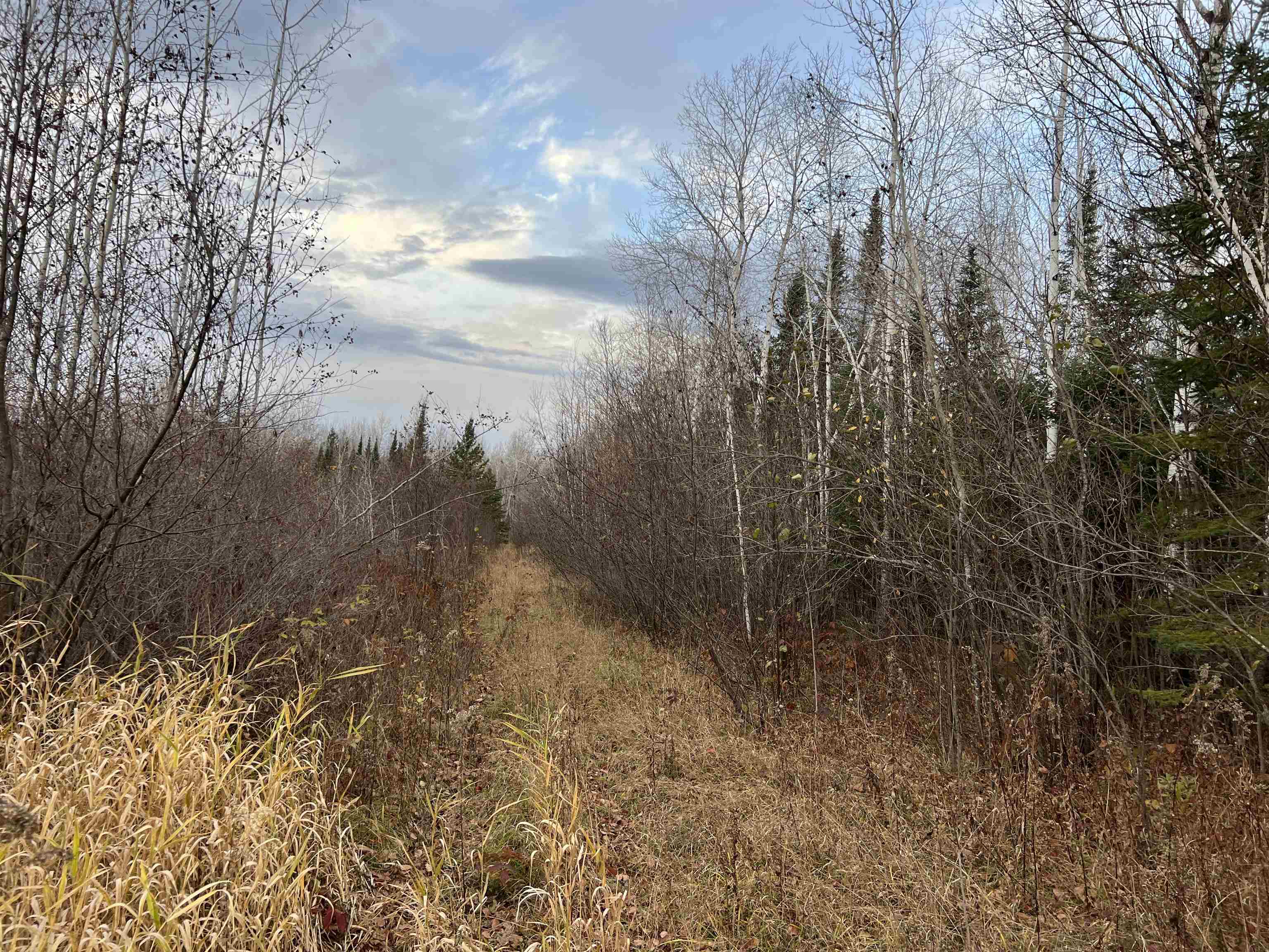 55260 Hwy 63 Grand View WI 54839 6122767 image54