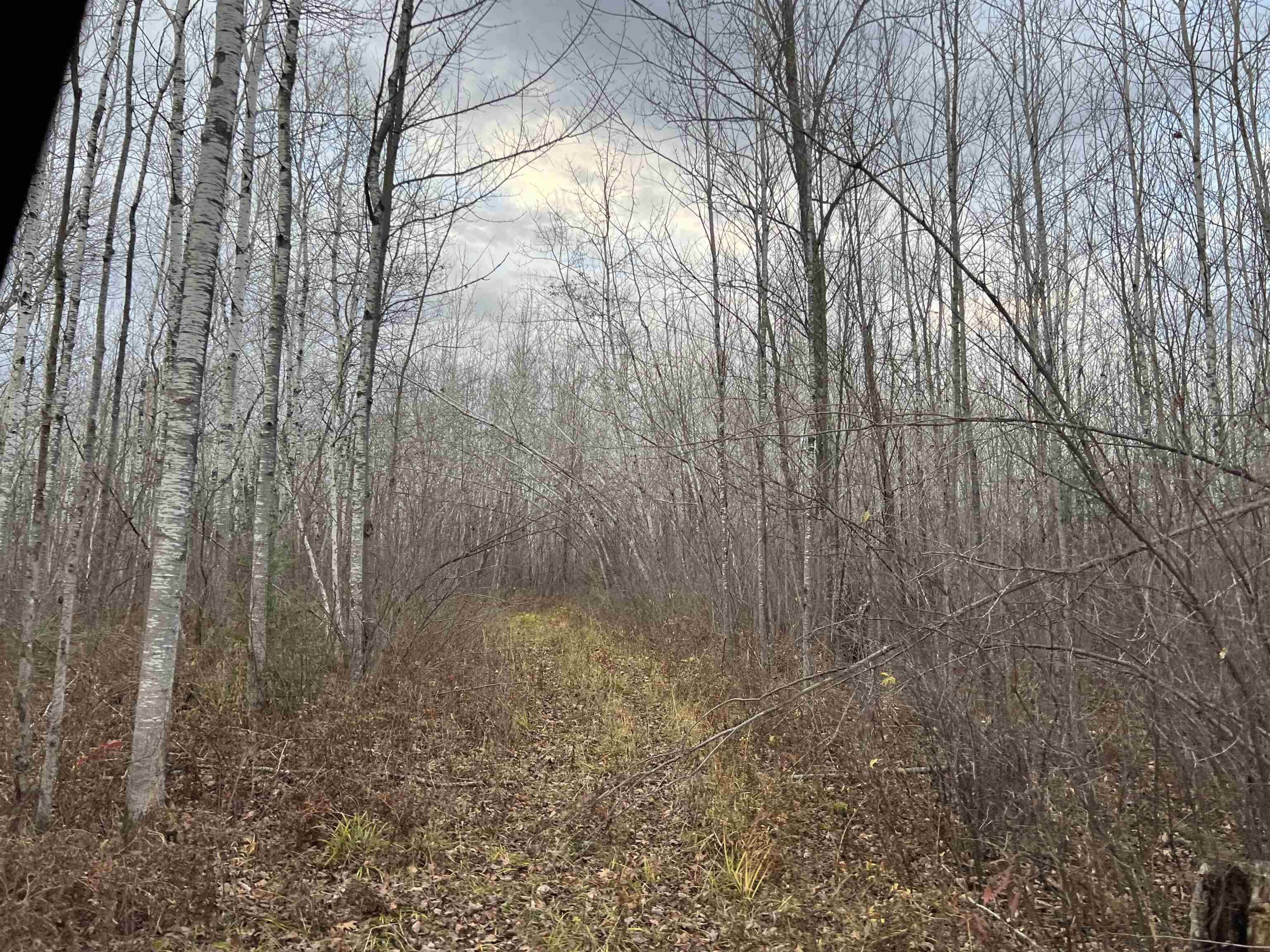 55260 Hwy 63 Grand View WI 54839 6122767 image55