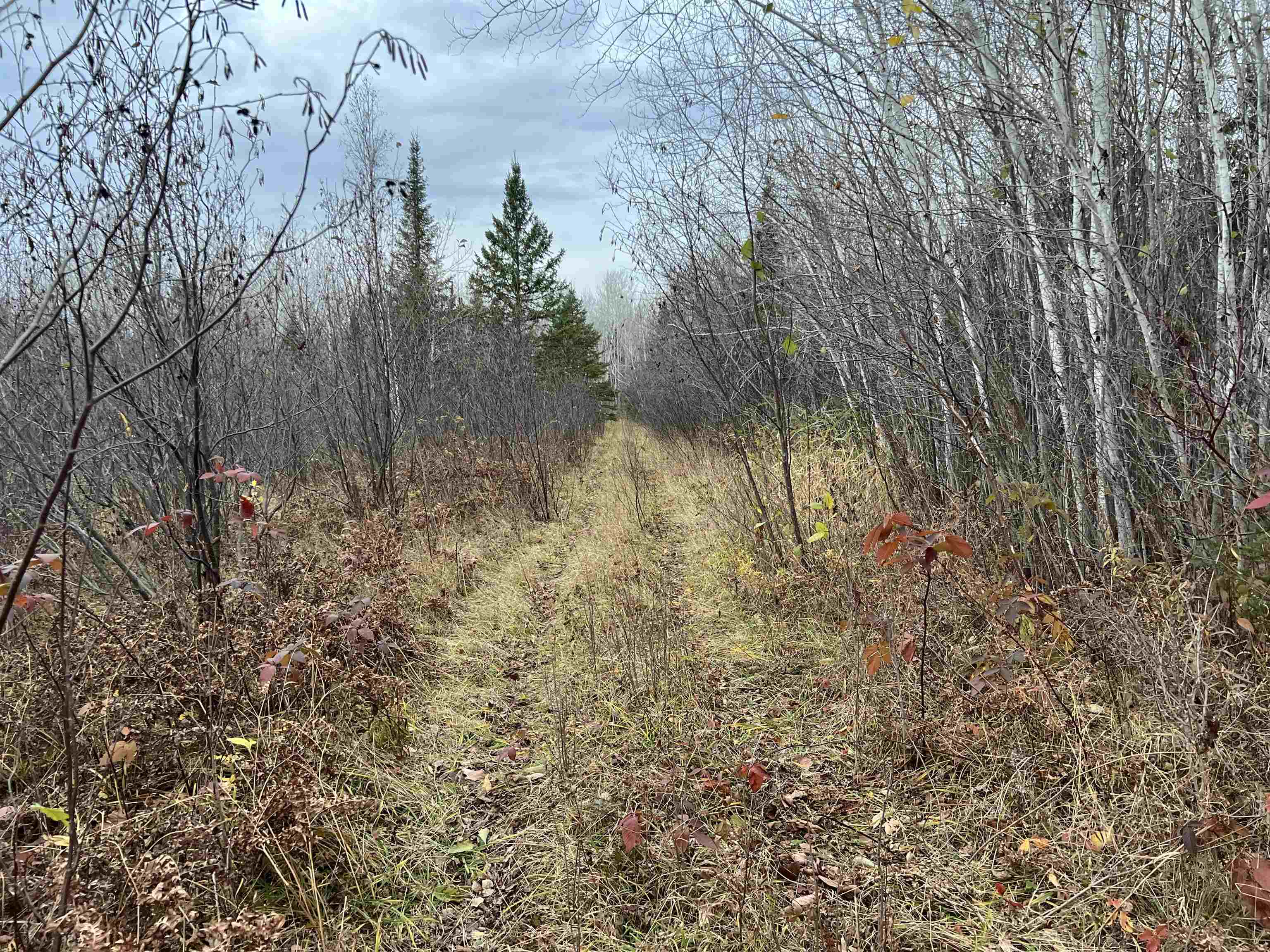 55260 Hwy 63 Grand View WI 54839 6122767 image58