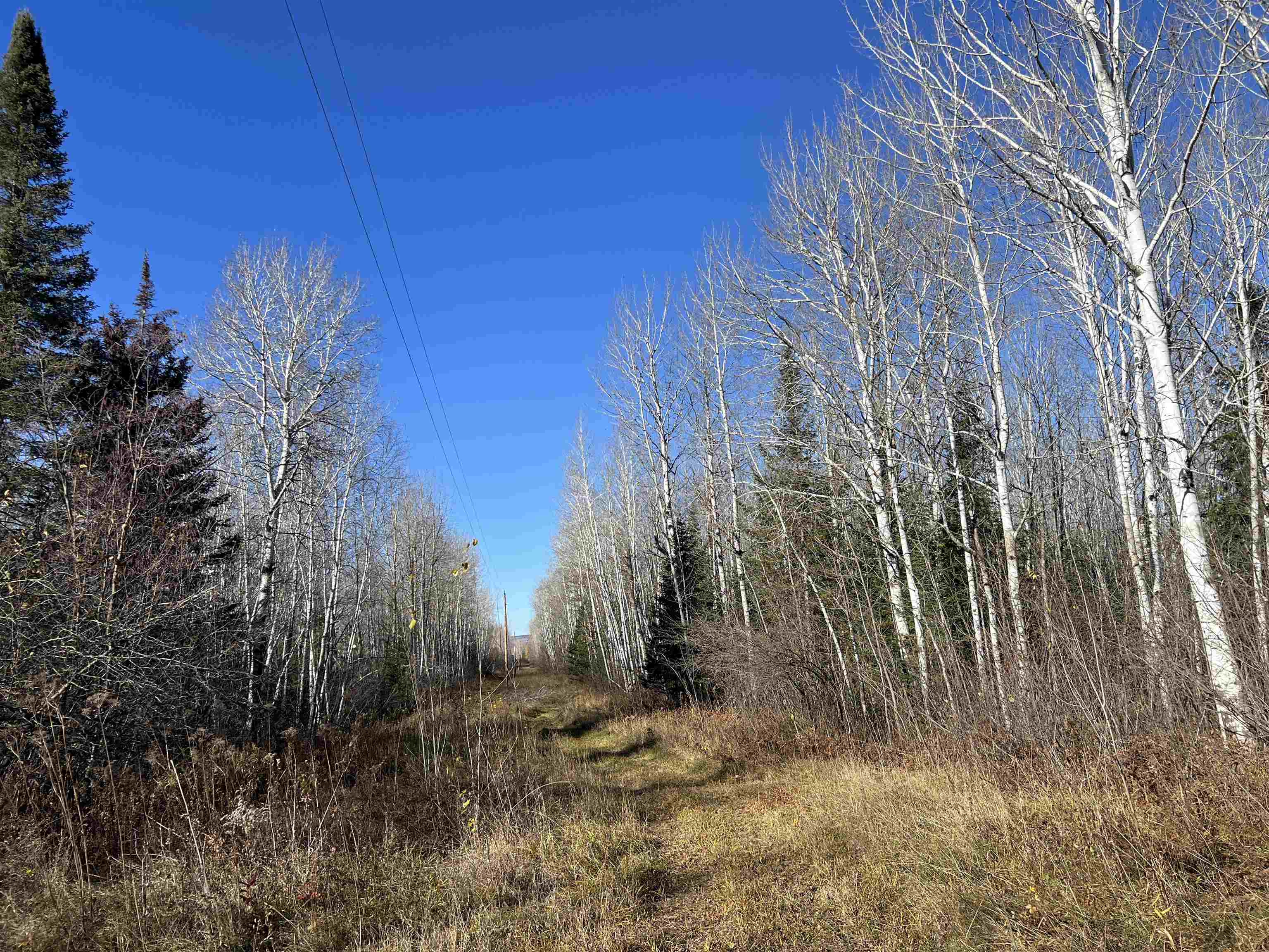 55260 Hwy 63 Grand View WI 54839 6122767 image59