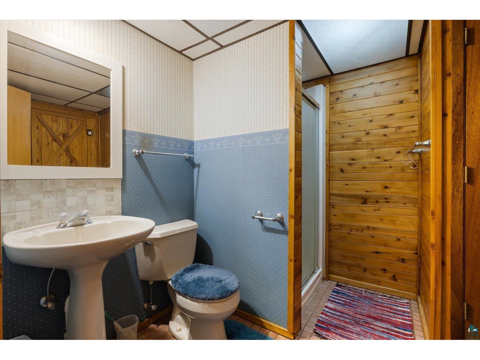5550 County Rd 36 Aurora MN 55705 - Loon 6125505 image27