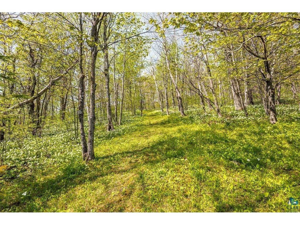 5558 E Grandview Rd Proctor MN 55810 6125761 image3