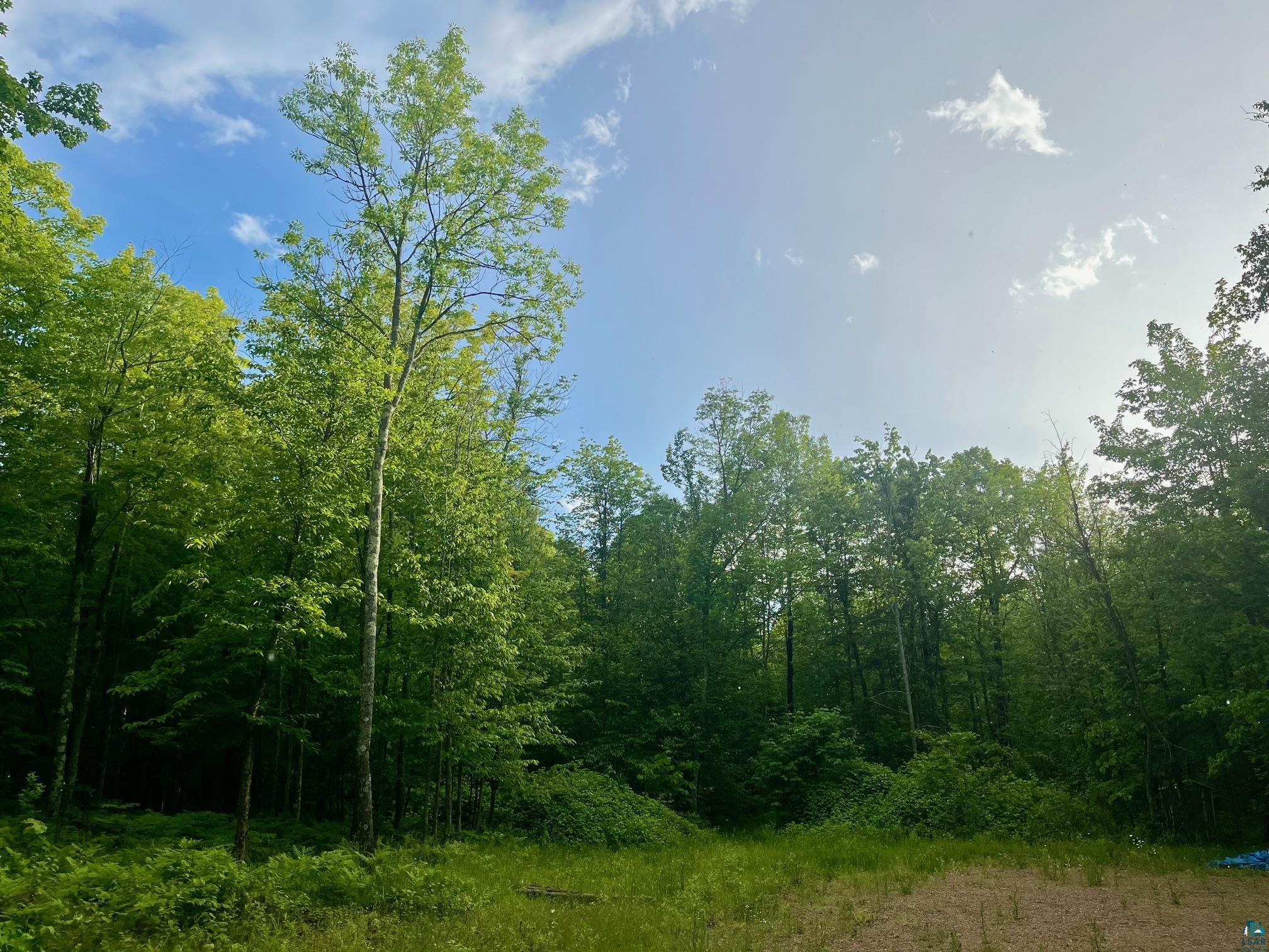 555xx N Altamont Rd Mason WI 54856 6114278 image1