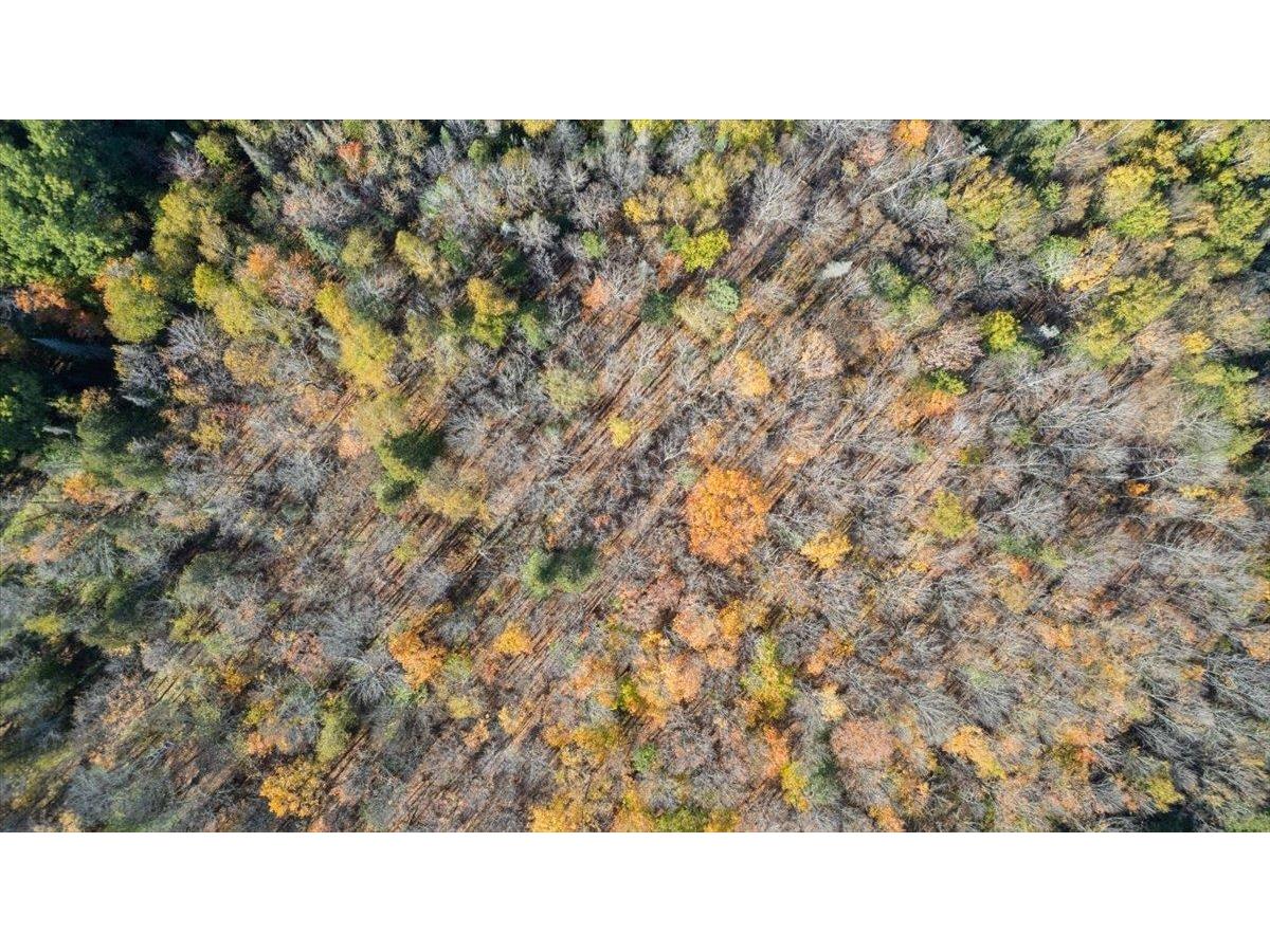 5570 Lester River Rd Duluth MN 55804 - Talmadge River 6122383 image6