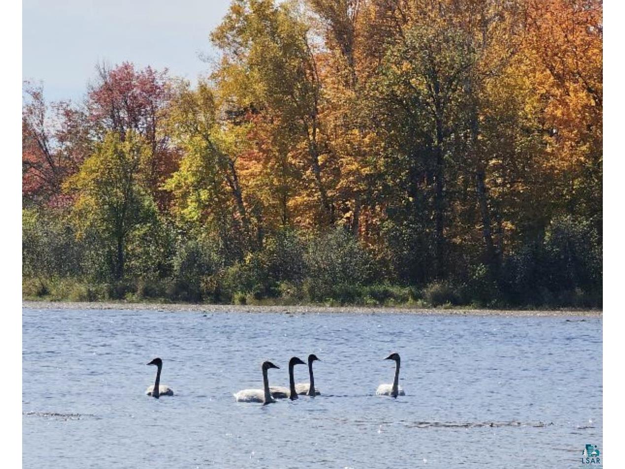5588 Blessings Ln Cromwell MN 55726 - Island Lake 6124665 image16