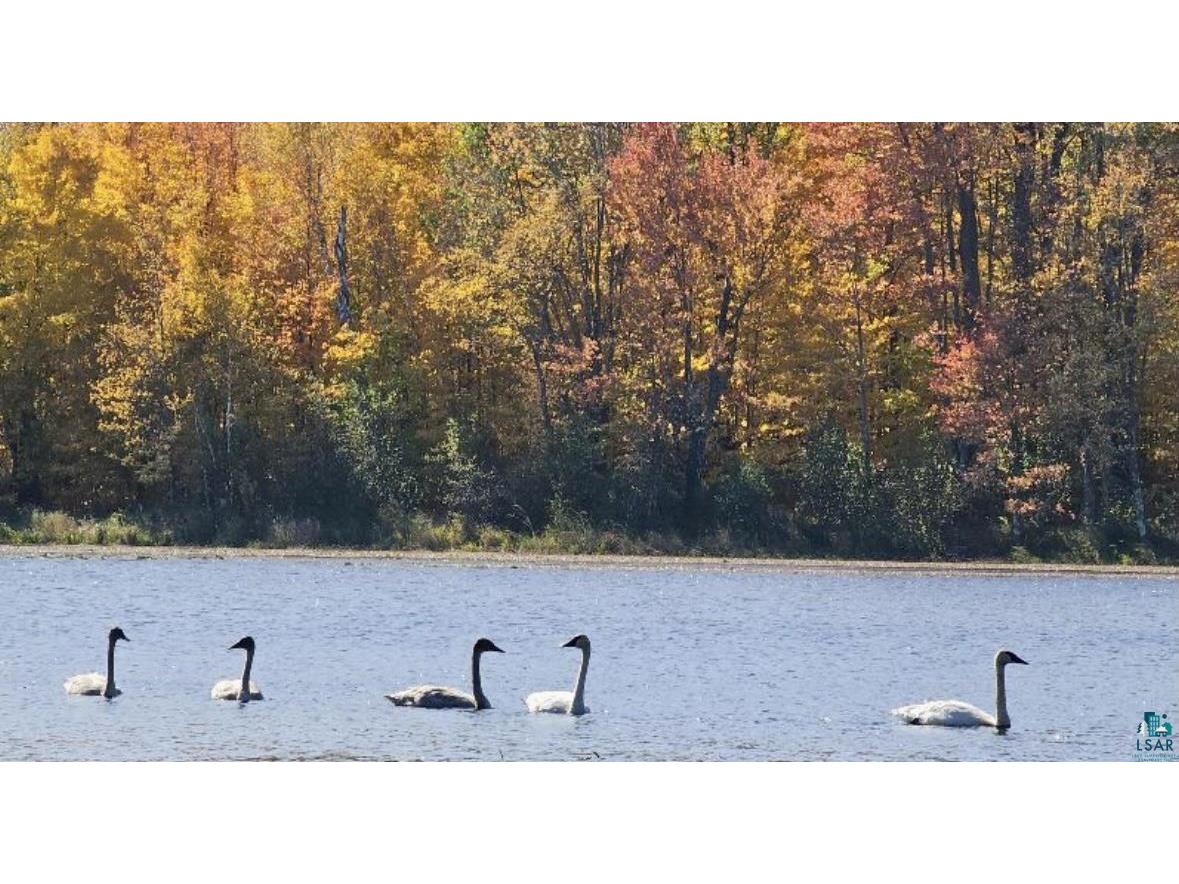 5588 Blessings Ln Cromwell MN 55726 - Island Lake 6124665 image17