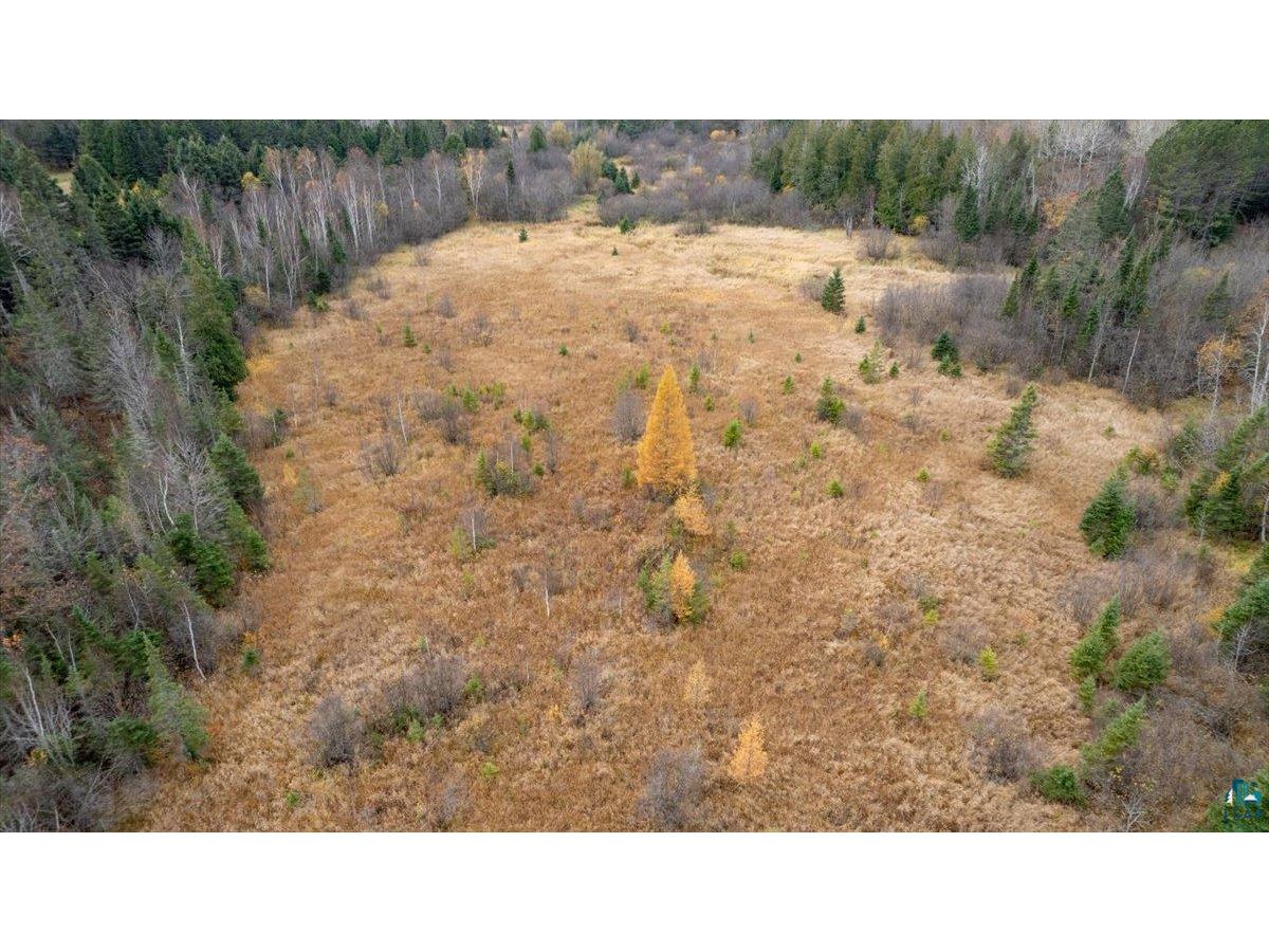 5598 Lester River Rd Duluth MN 55804 - Talmadge River 6117884 image1