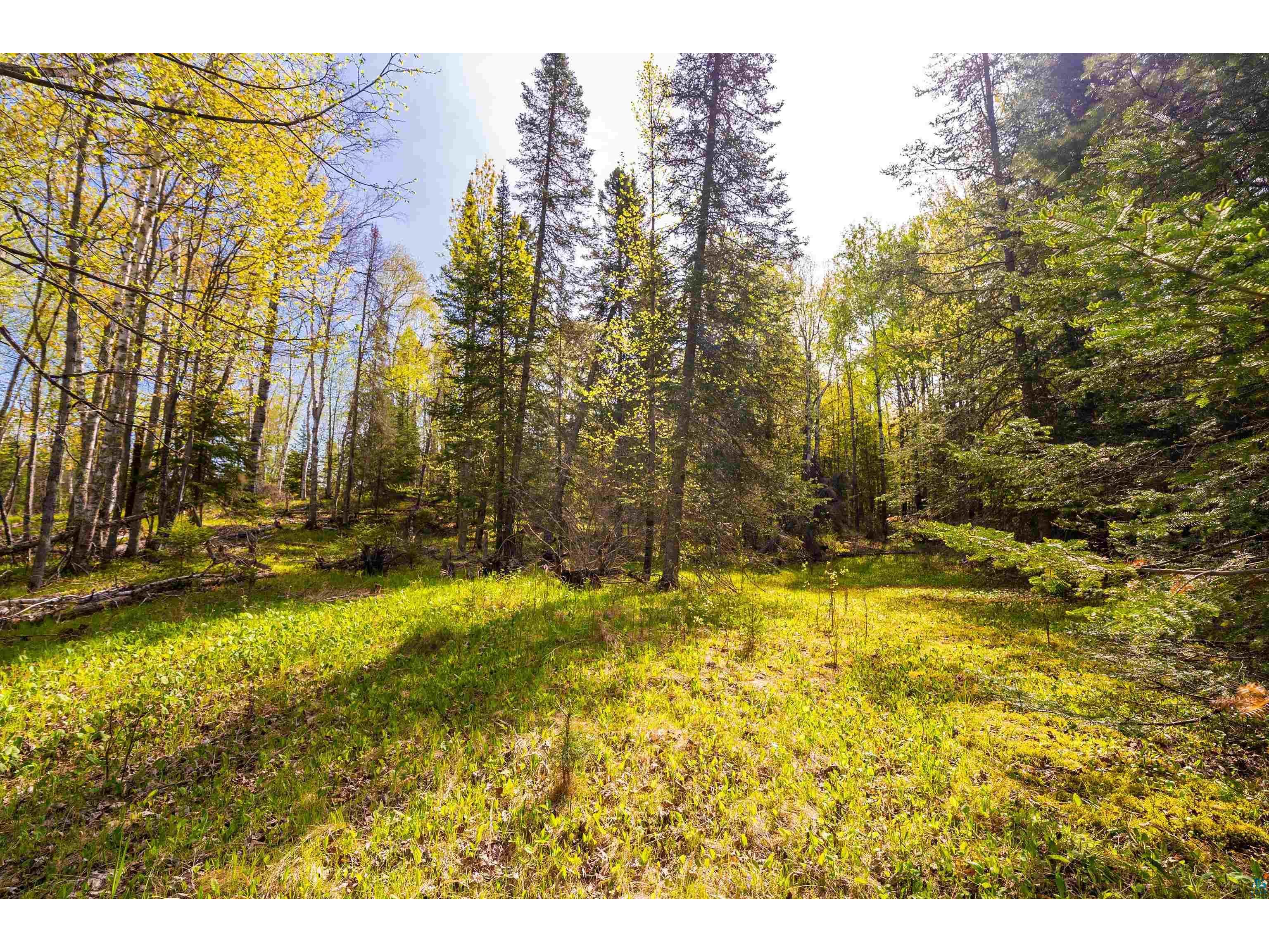 5610 Bergstrom Jct Rd Saginaw MN 55779 6125651 image10