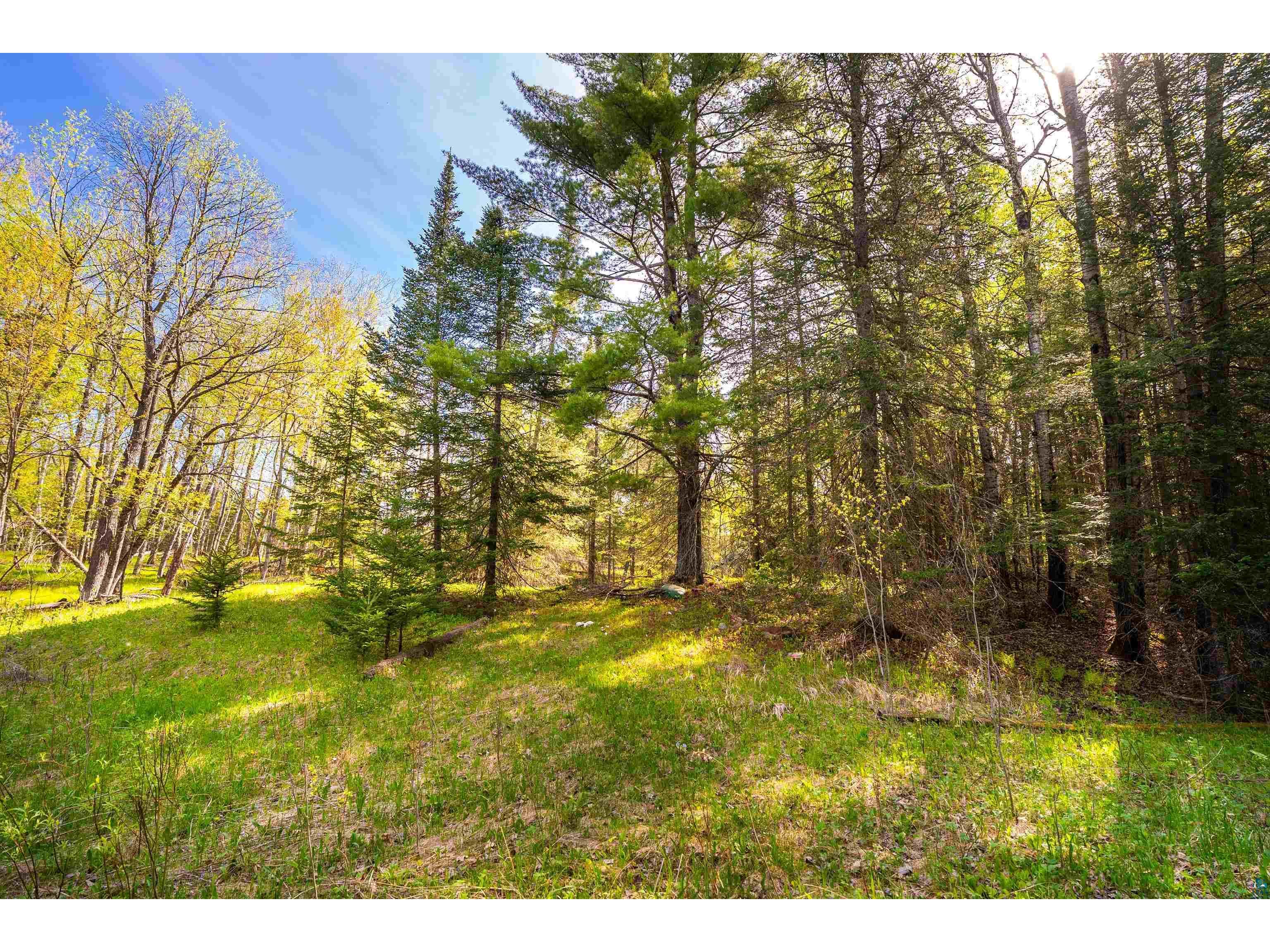 5610 Bergstrom Jct Rd Saginaw MN 55779 6125651 image4