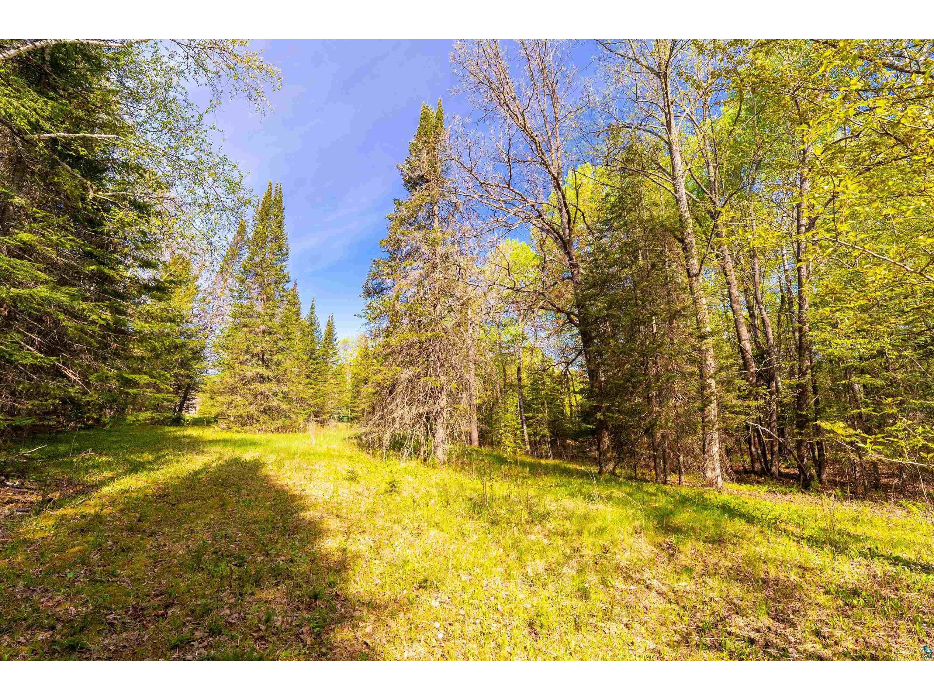 5610 Bergstrom Jct Rd Saginaw MN 55779 6125651 image5