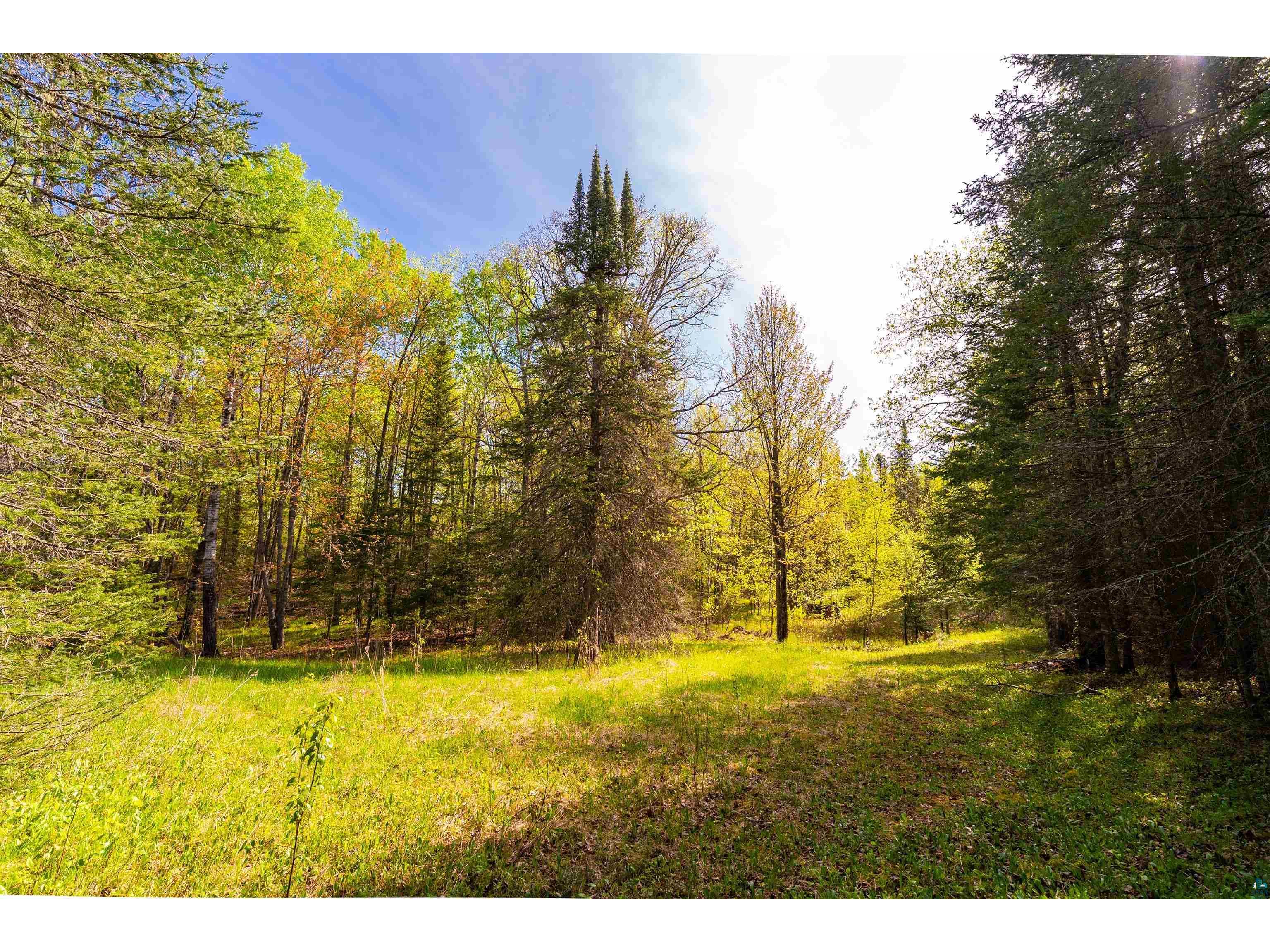 5610 Bergstrom Jct Rd Saginaw MN 55779 6125651 image7