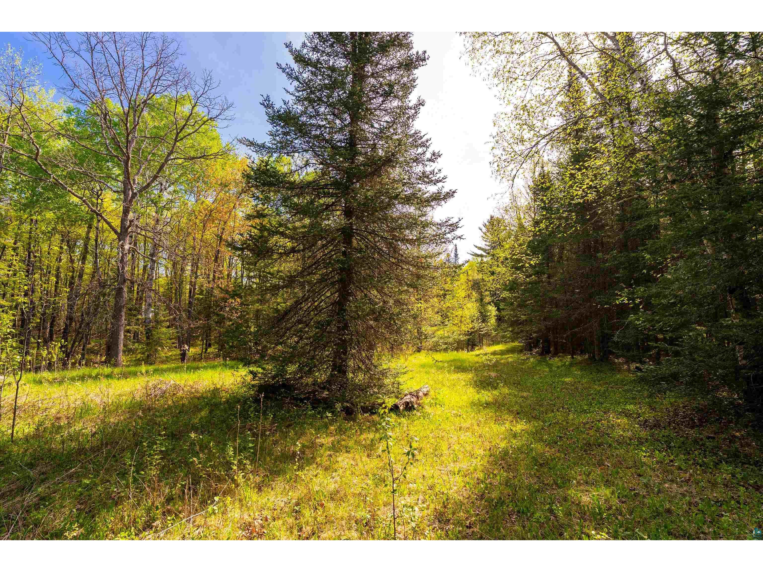 5610 Bergstrom Jct Rd Saginaw MN 55779 6125651 image8
