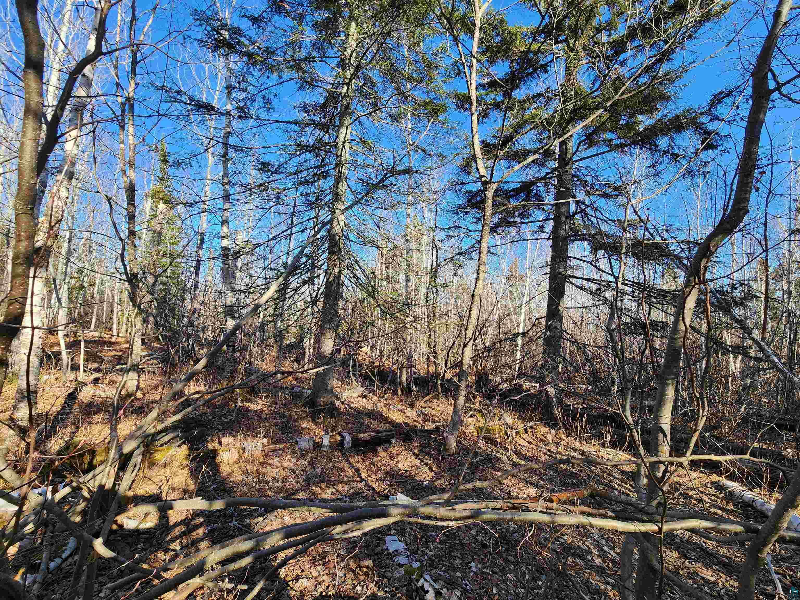 56XX-B Highway 61 Lutsen MN 55612 6119929 image11