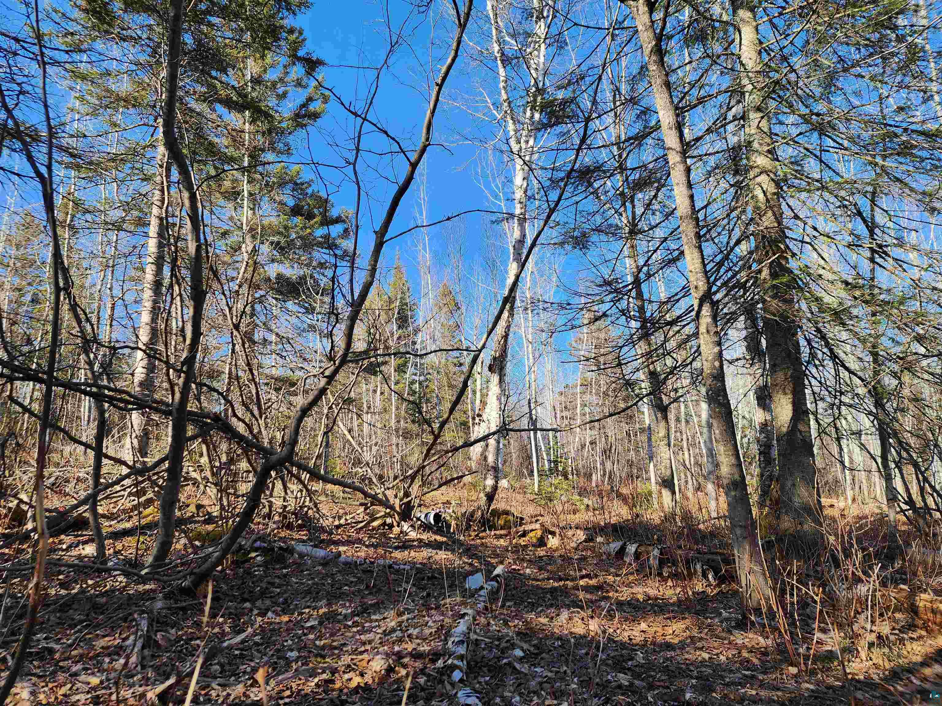 56XX-B Highway 61 Lutsen MN 55612 6119929 image12