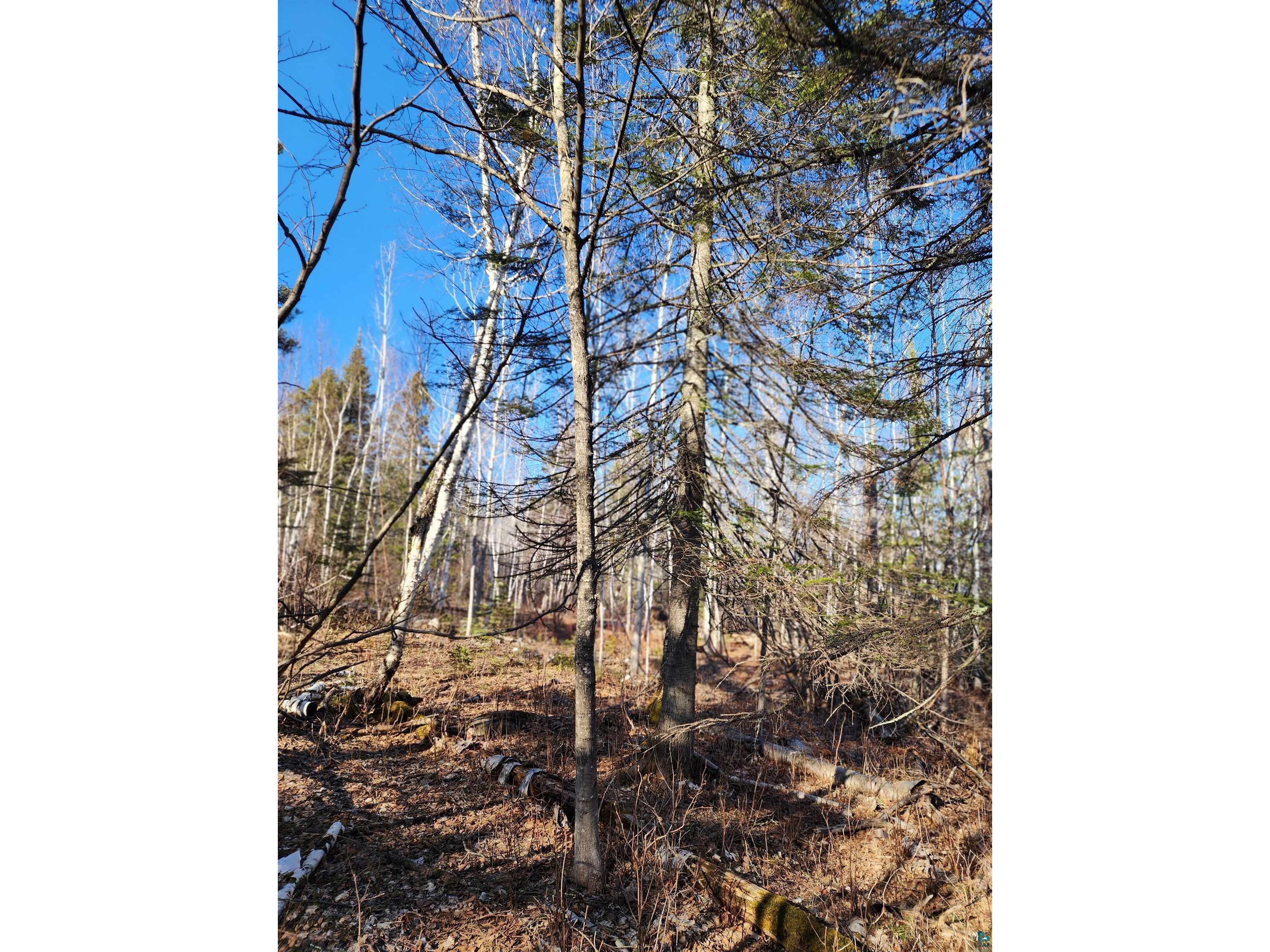 56XX-B Highway 61 Lutsen MN 55612 6119929 image13