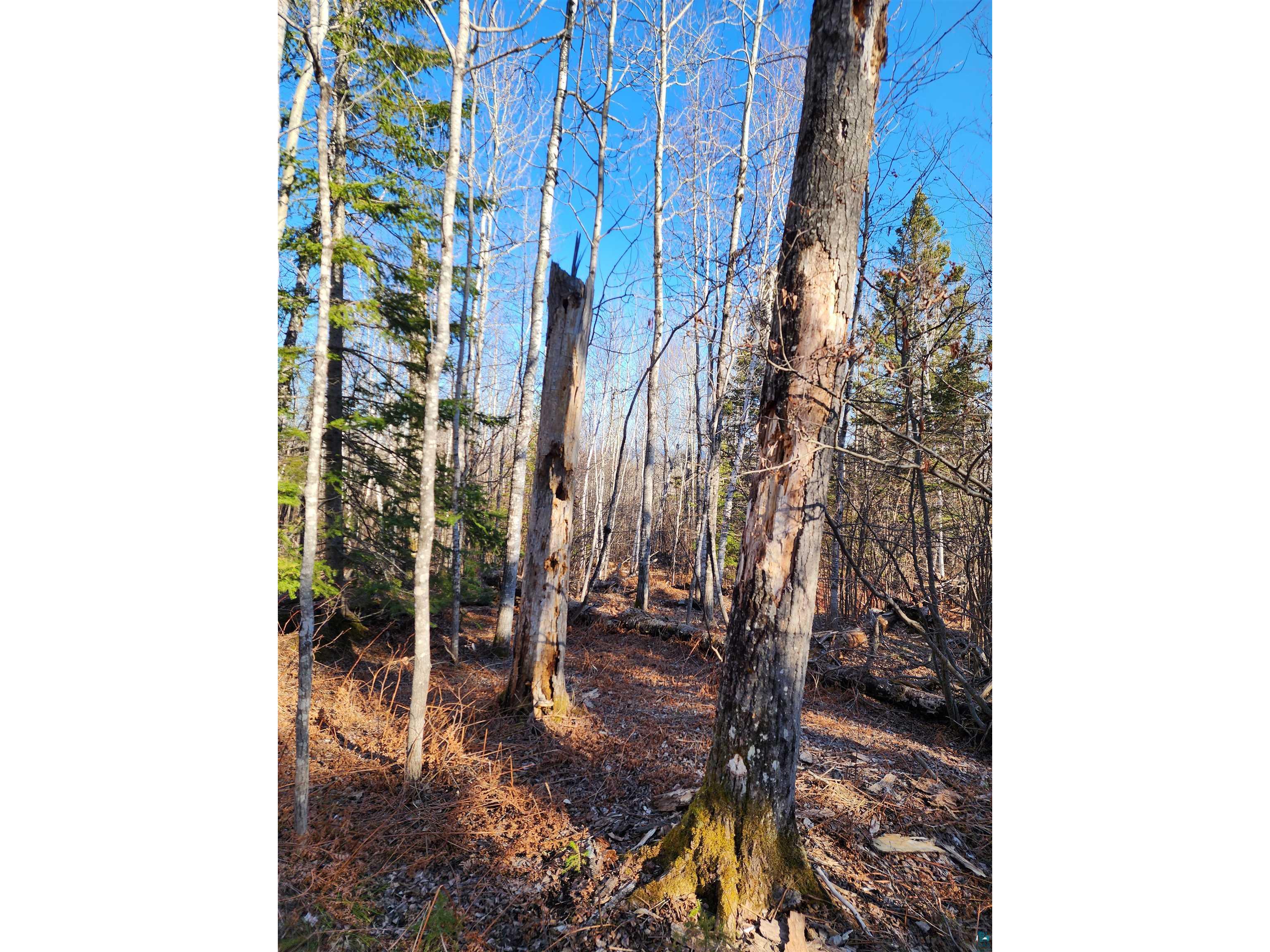 56XX-B Highway 61 Lutsen MN 55612 6119929 image15