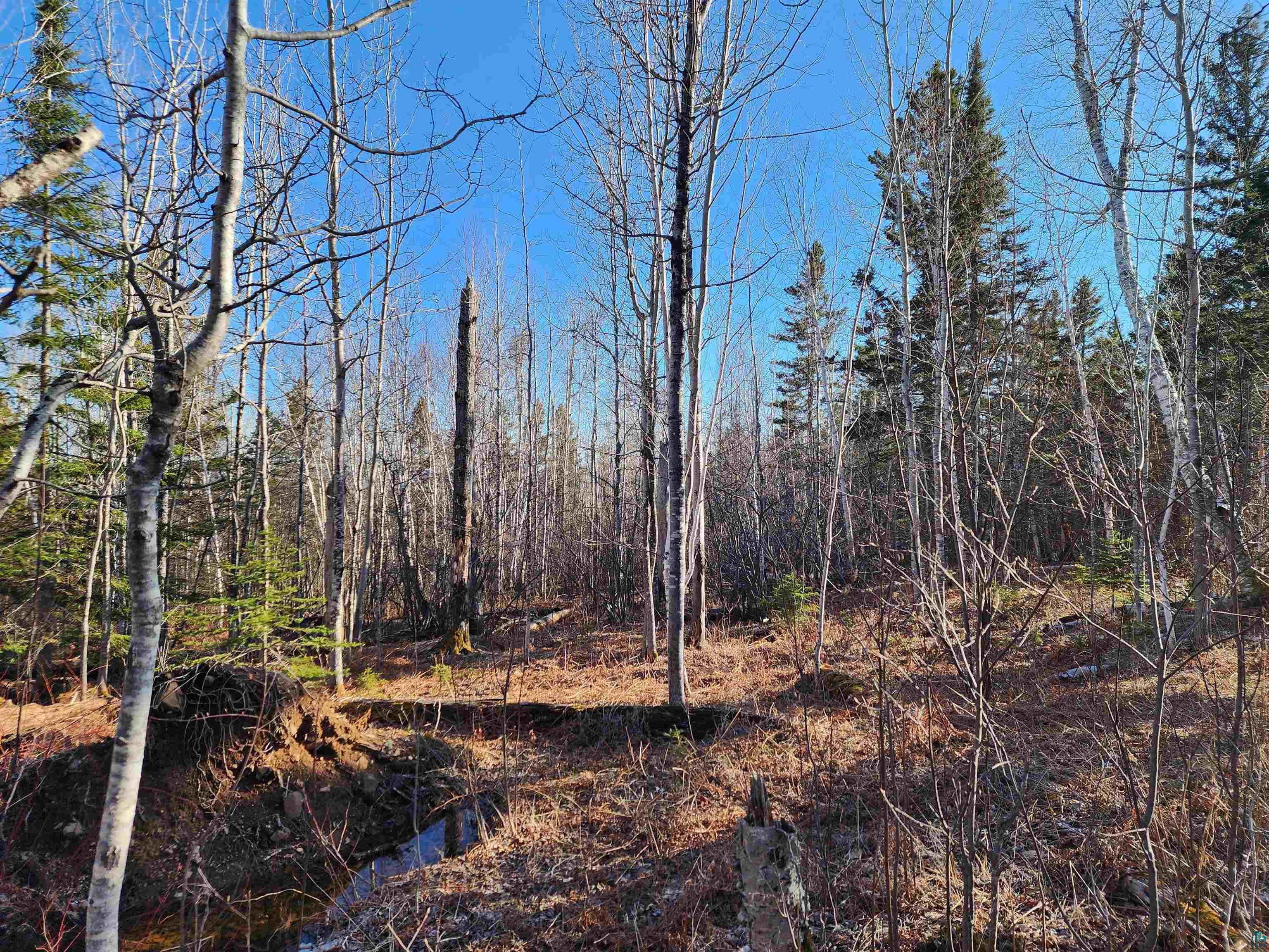 56XX-B Highway 61 Lutsen MN 55612 6119929 image16