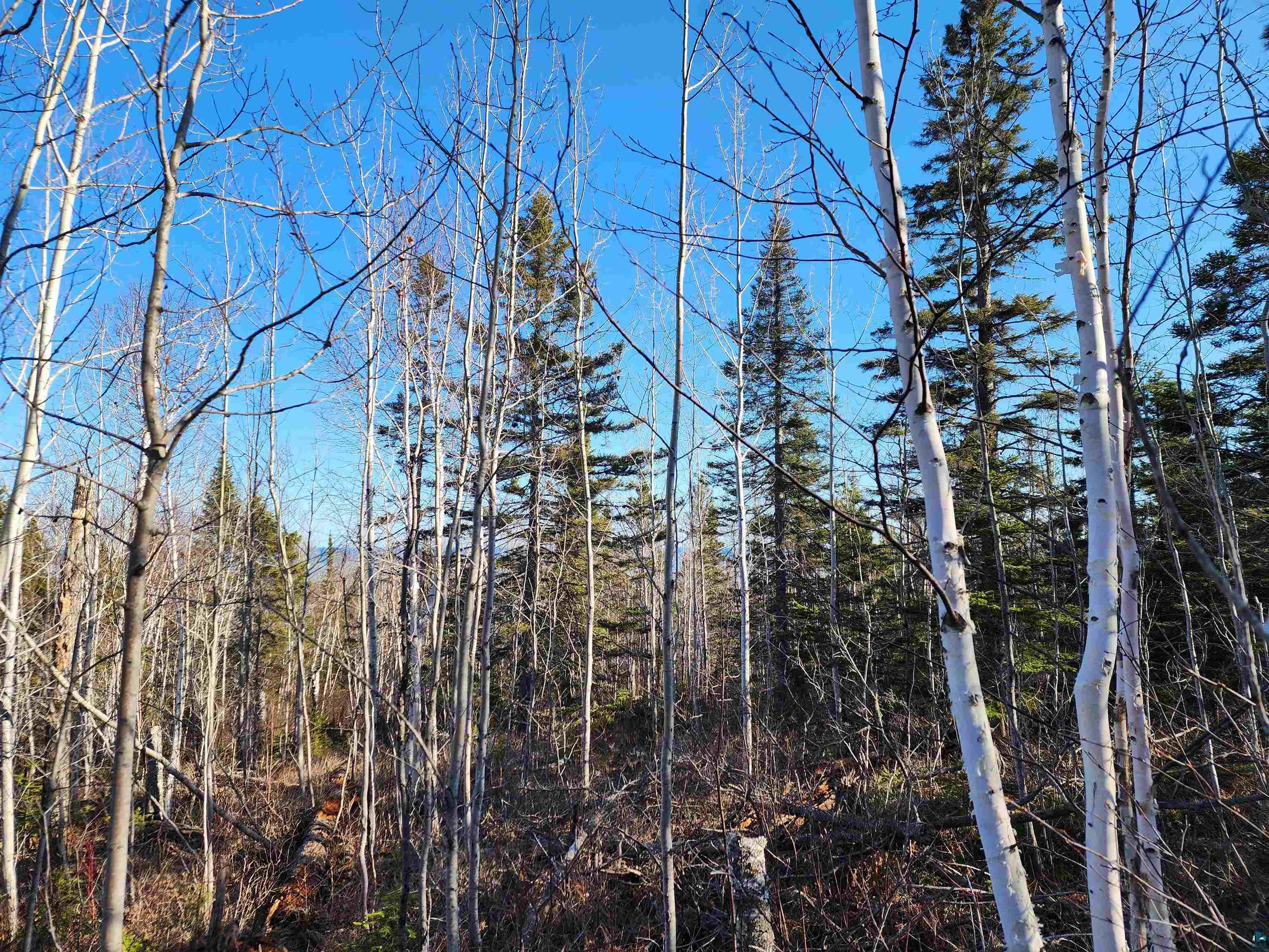 56XX-B Highway 61 Lutsen MN 55612 6119929 image19