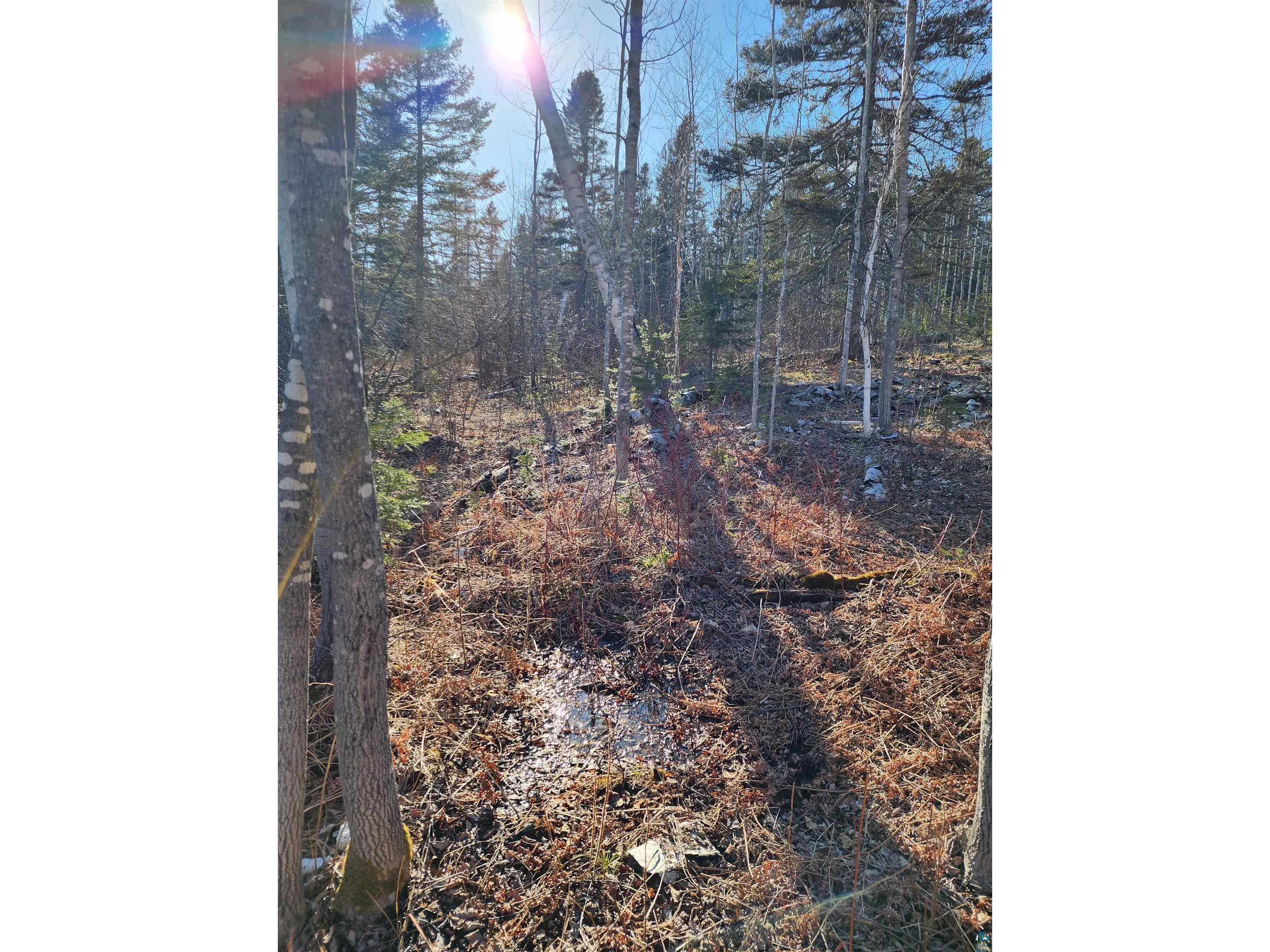 56XX-B Highway 61 Lutsen MN 55612 6119929 image20