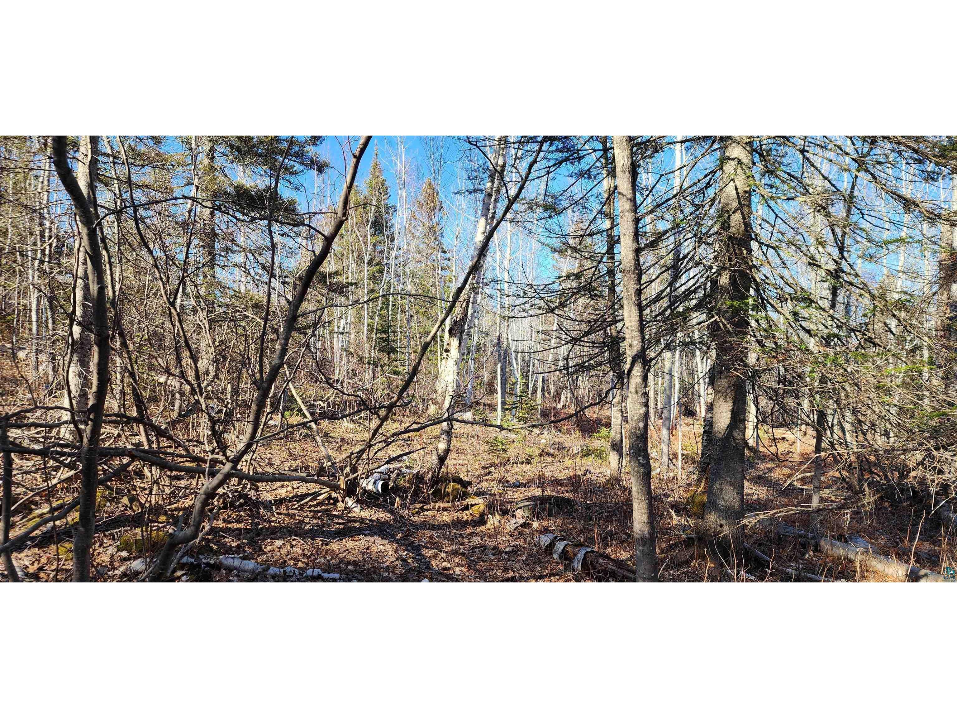 56XX-B Highway 61 Lutsen MN 55612 6119929 image3