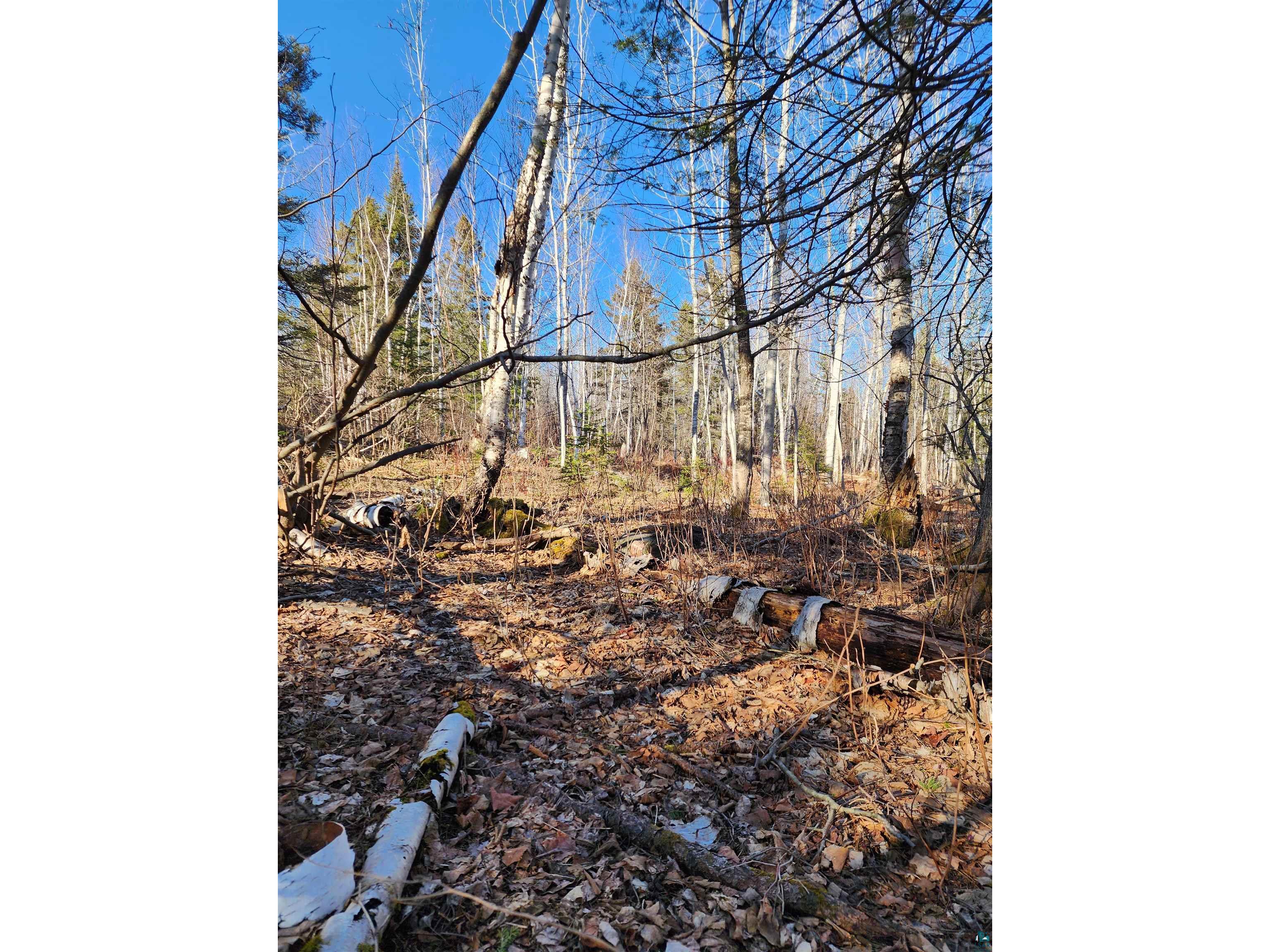 56XX-B Highway 61 Lutsen MN 55612 6119929 image4