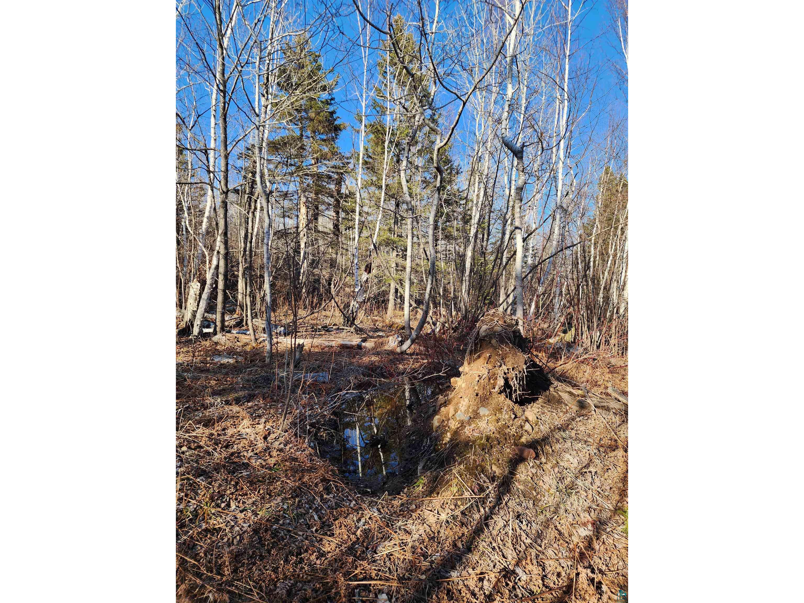 56XX-B Highway 61 Lutsen MN 55612 6119929 image6