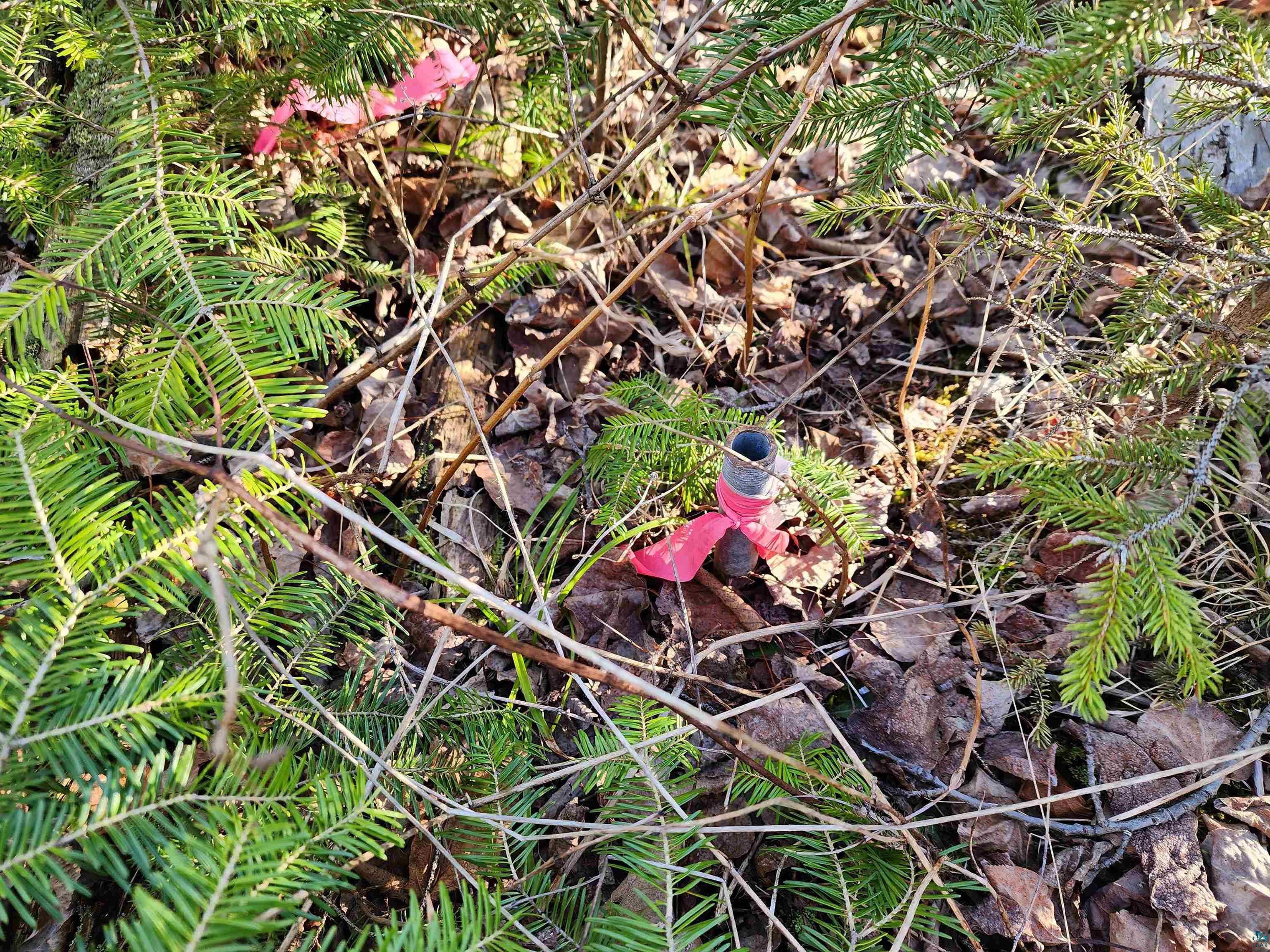 56XX-B Highway 61 Lutsen MN 55612 6119929 image7