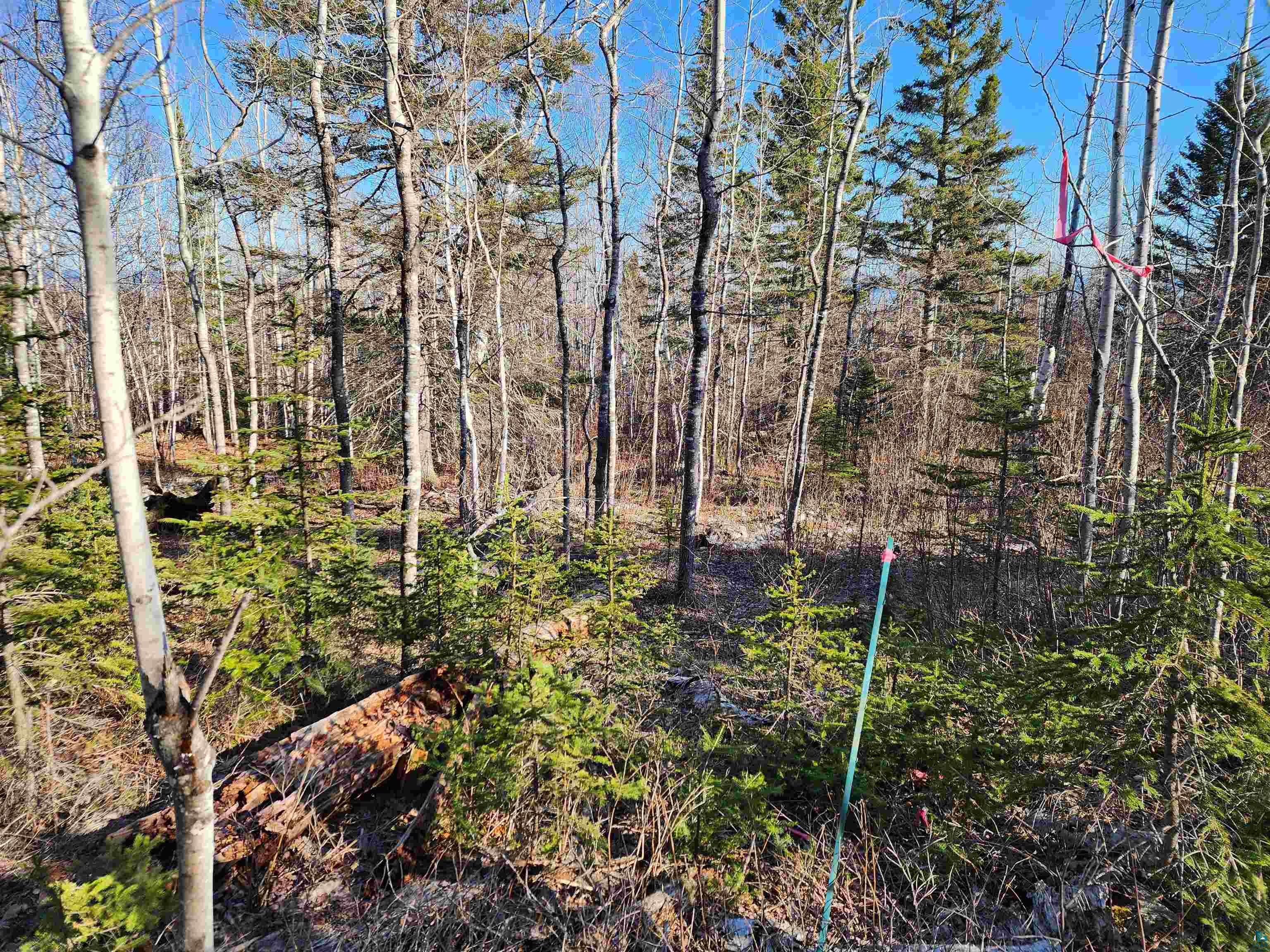 56XX-B Highway 61 Lutsen MN 55612 6125859 image1